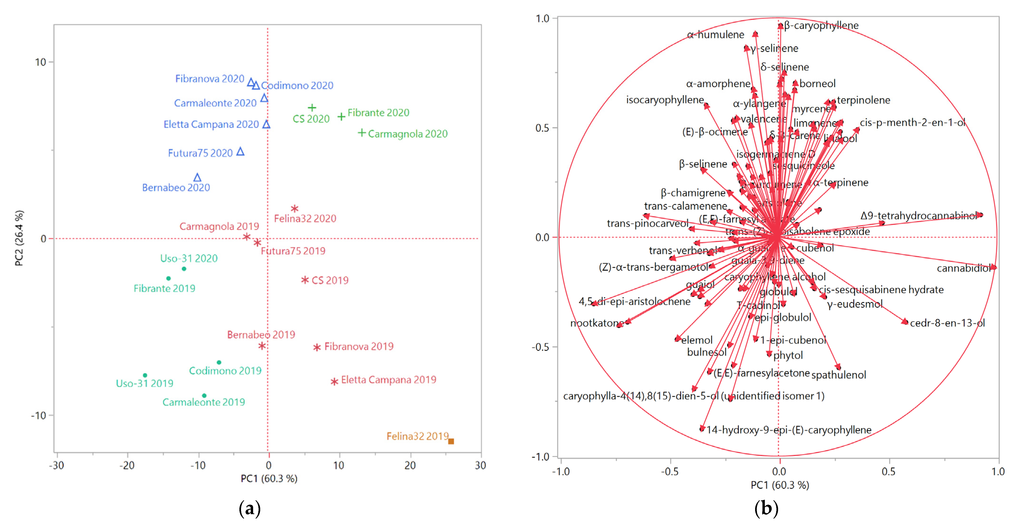 Molecules 26 04080 g002