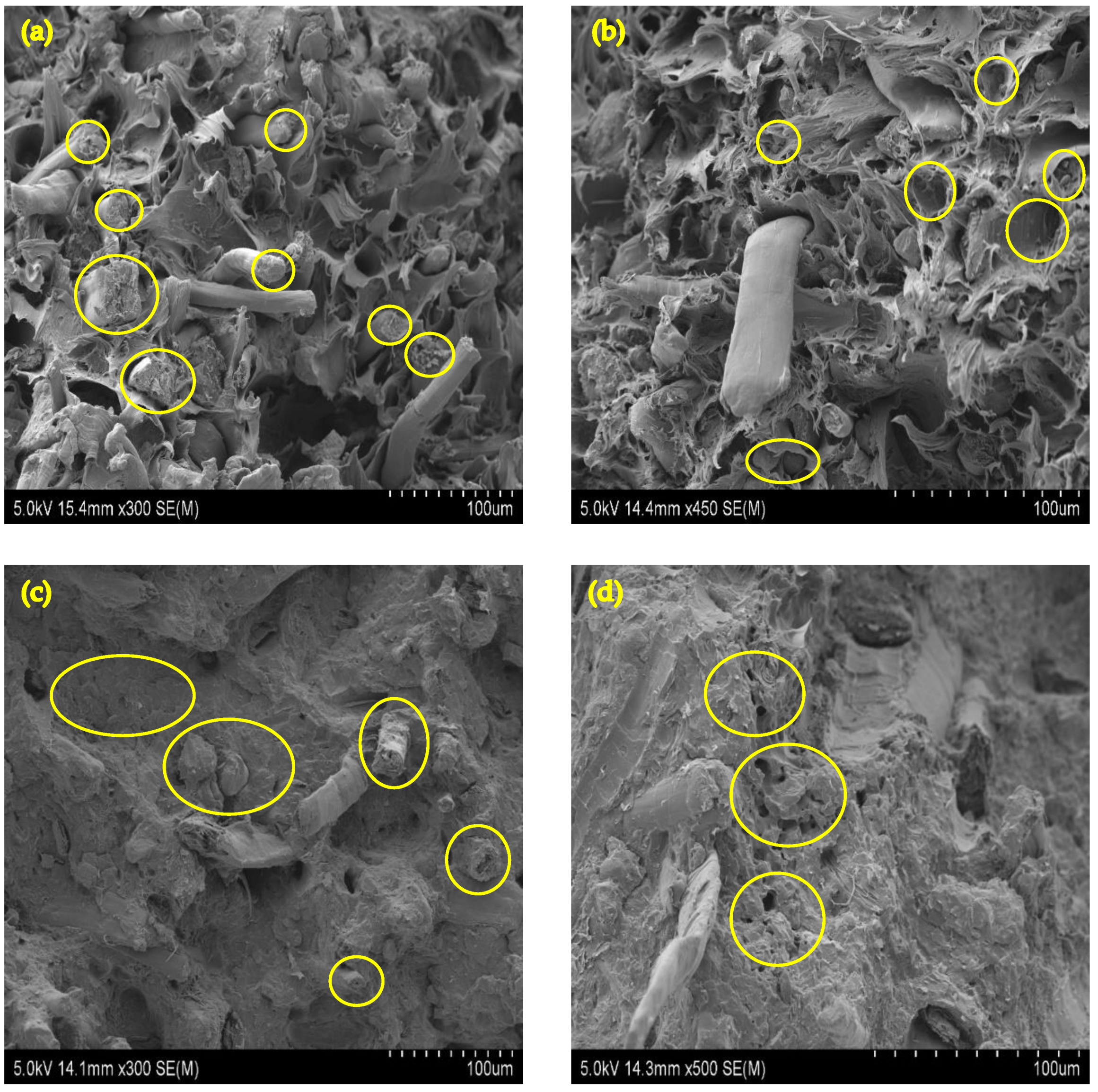 Molecules 26 04094 g003