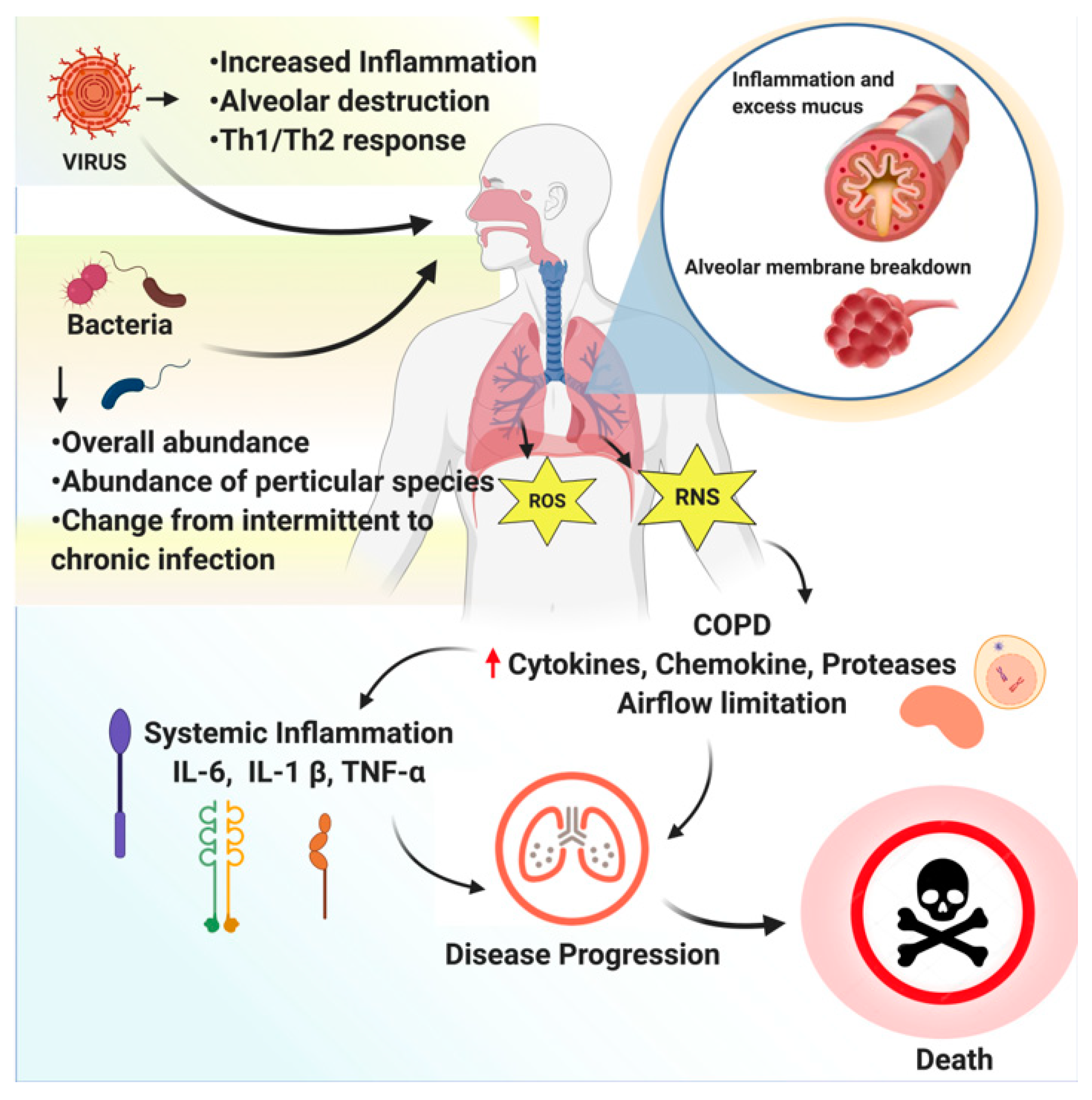 Molecules 26 04095 g001