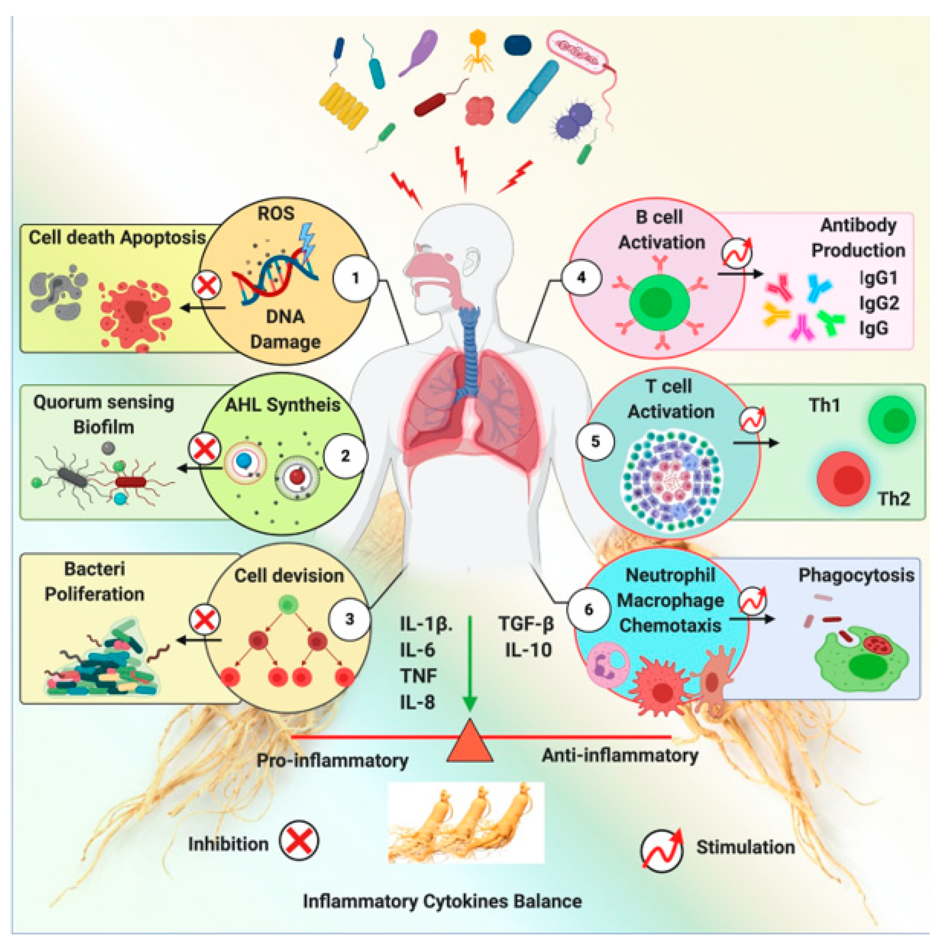 Molecules 26 04095 g006