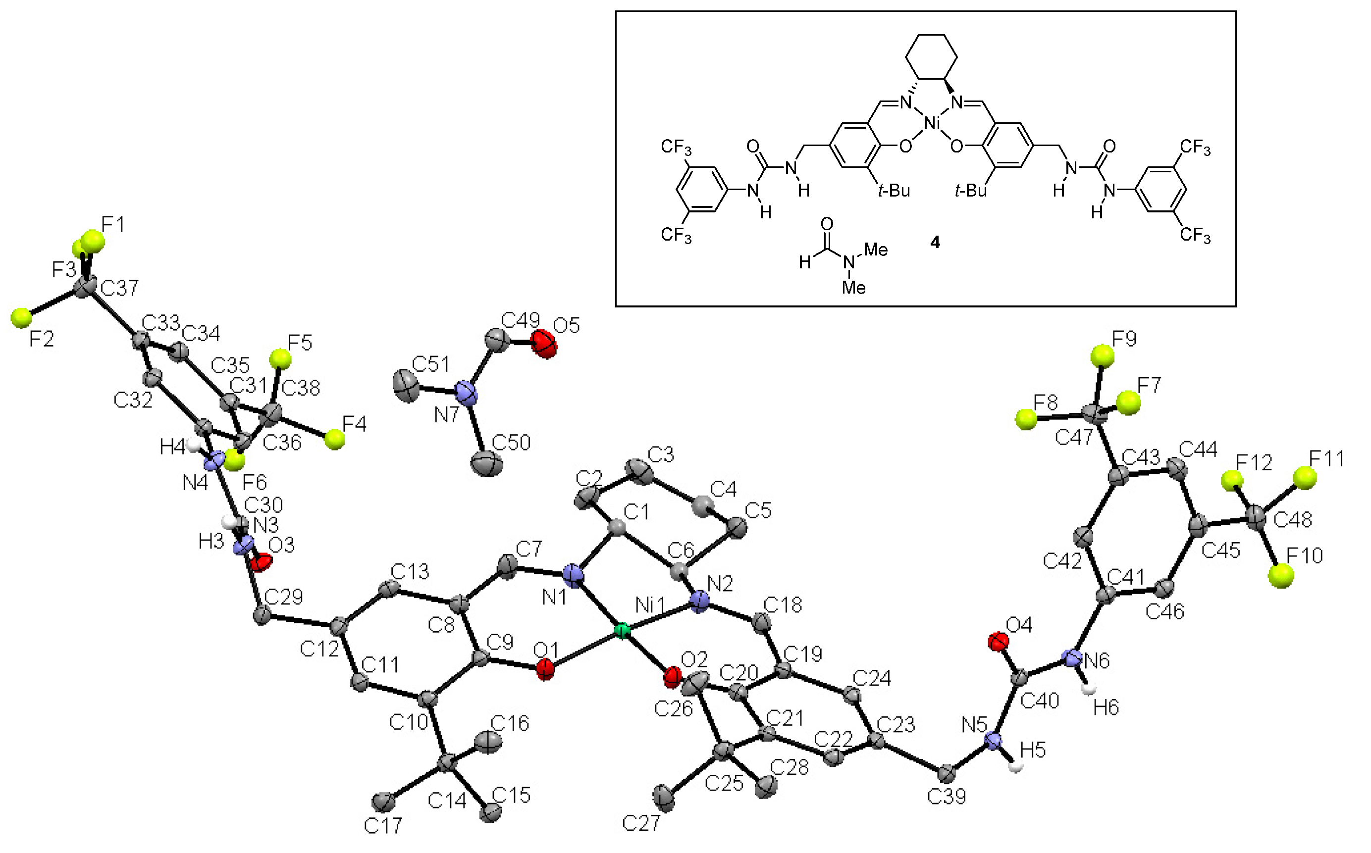 Molecules 26 04097 g003