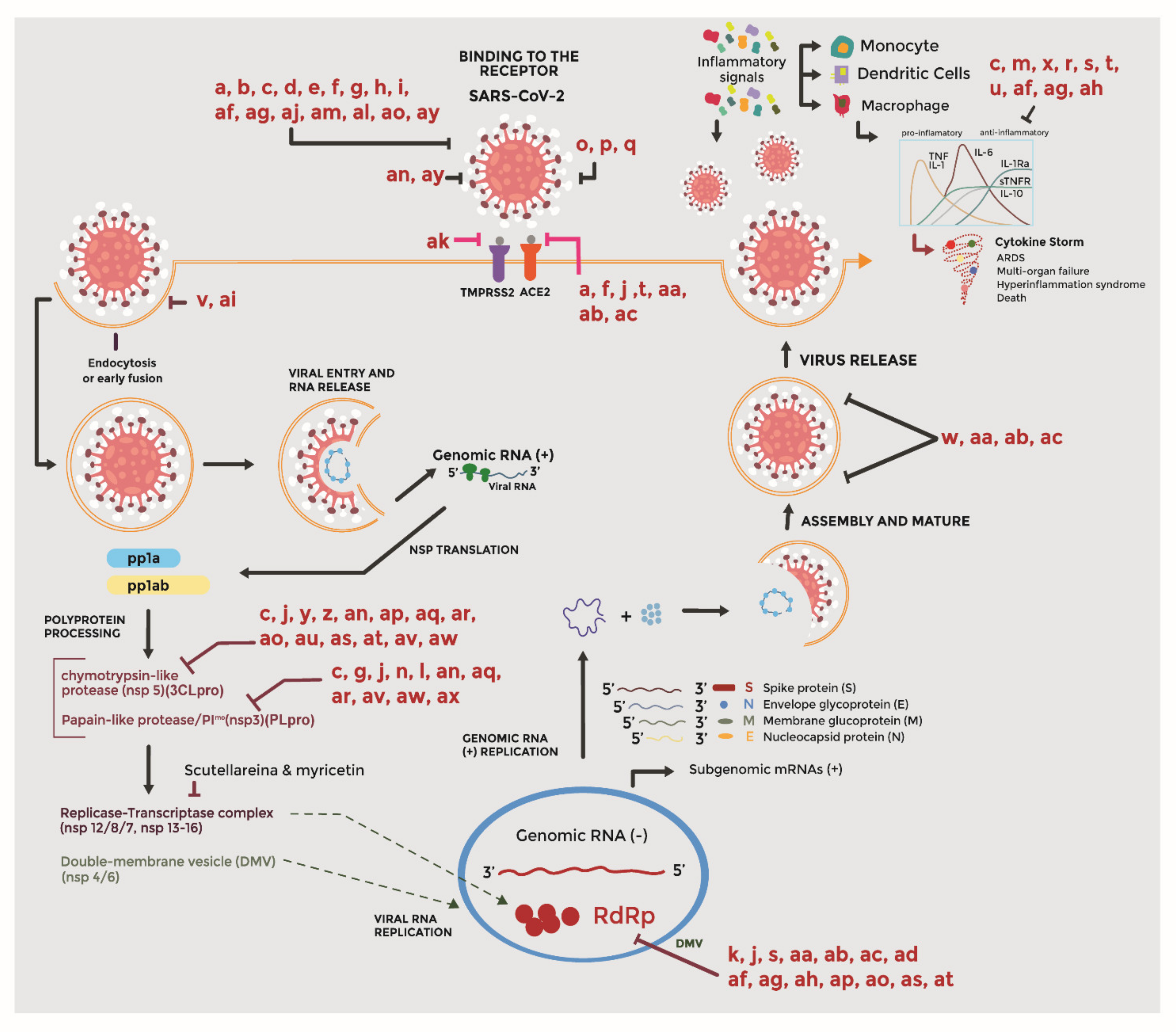 Molecules 26 04099 g001