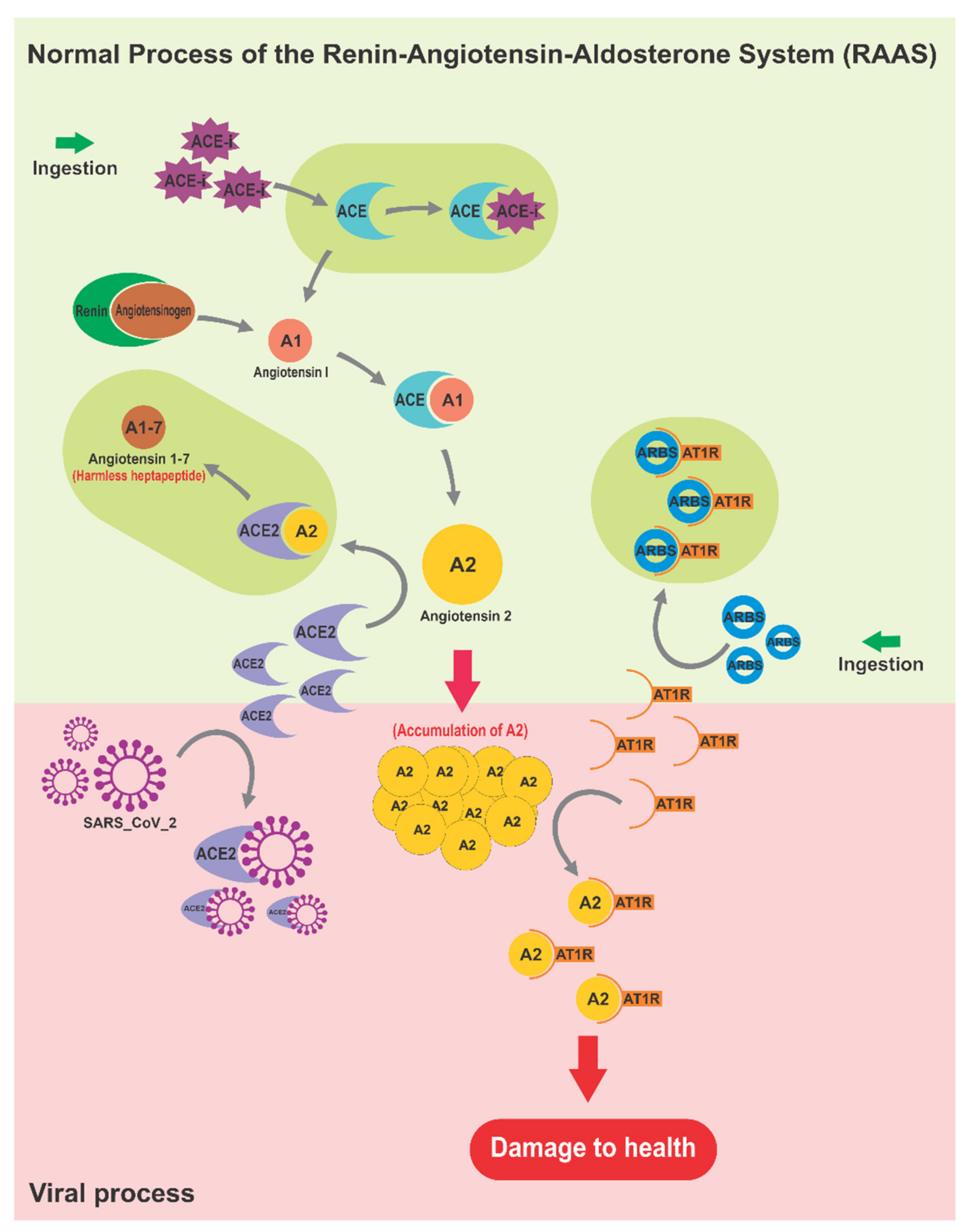 Molecules 26 04099 g002