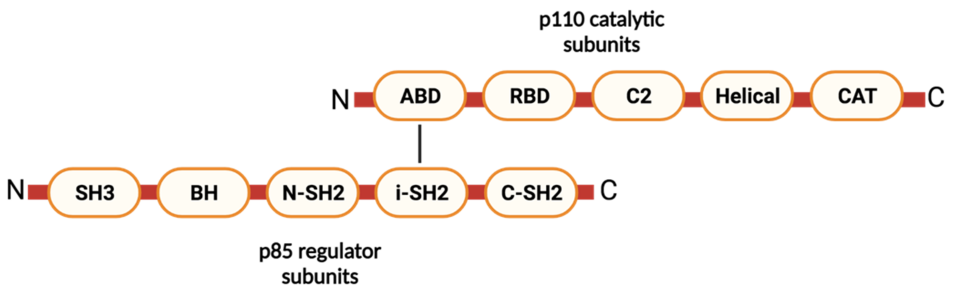 Molecules 26 04100 g002