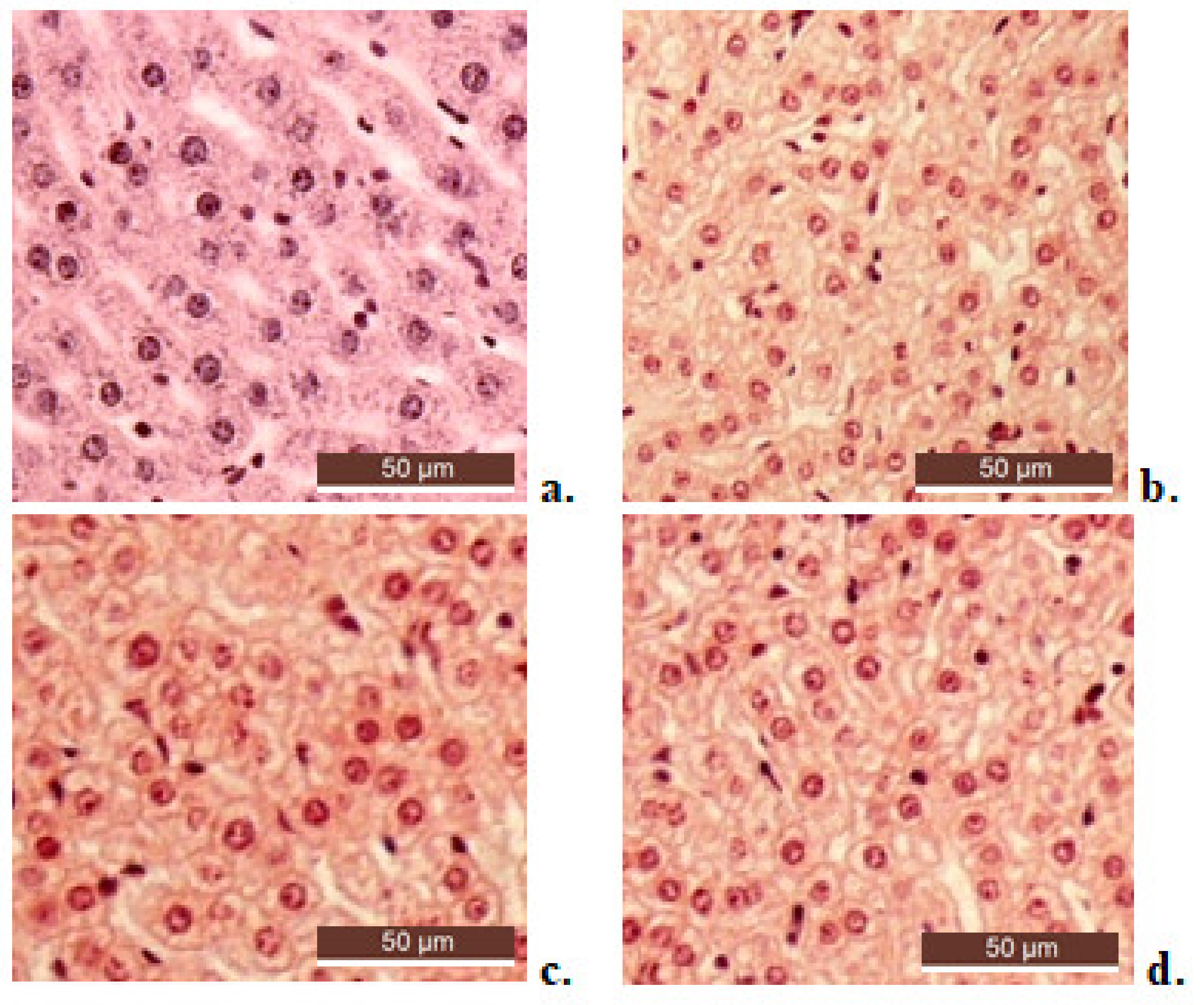 Molecules 26 04101 g007