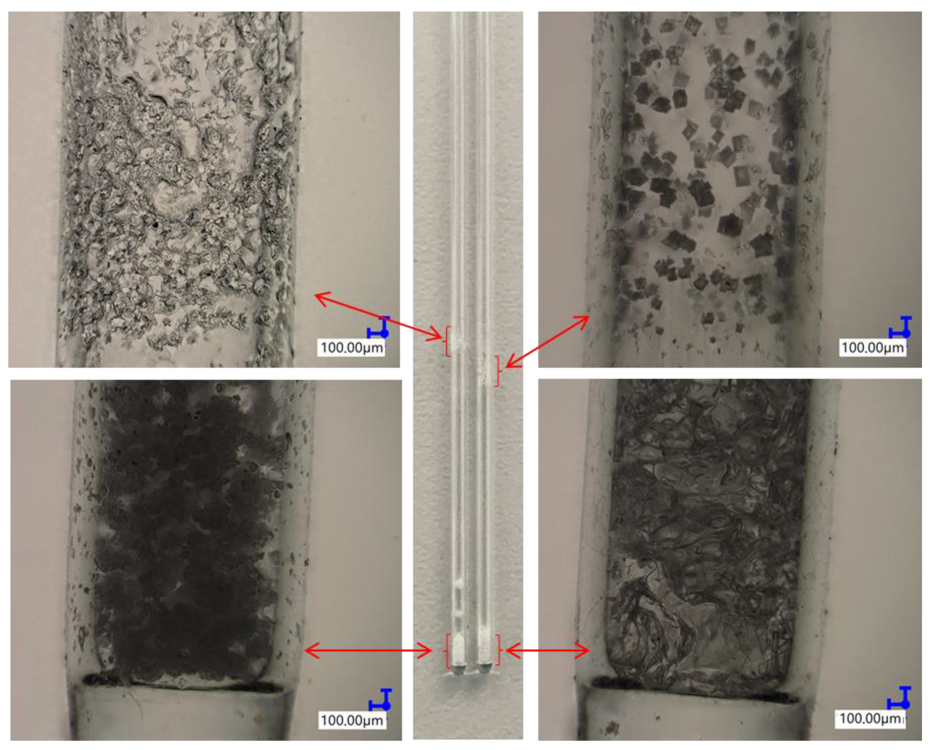 Molecules 26 04107 g007