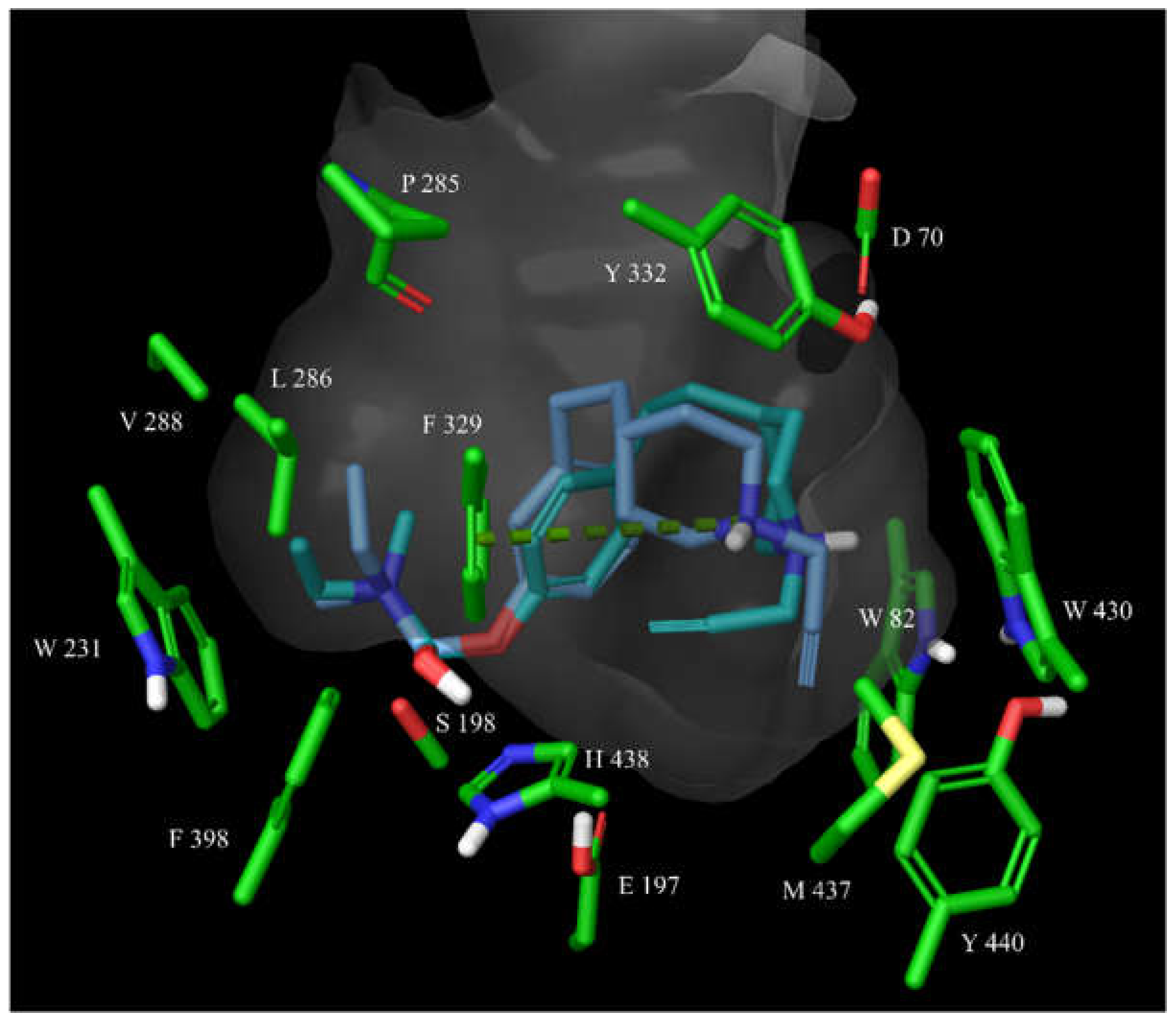 Molecules 26 04118 g009