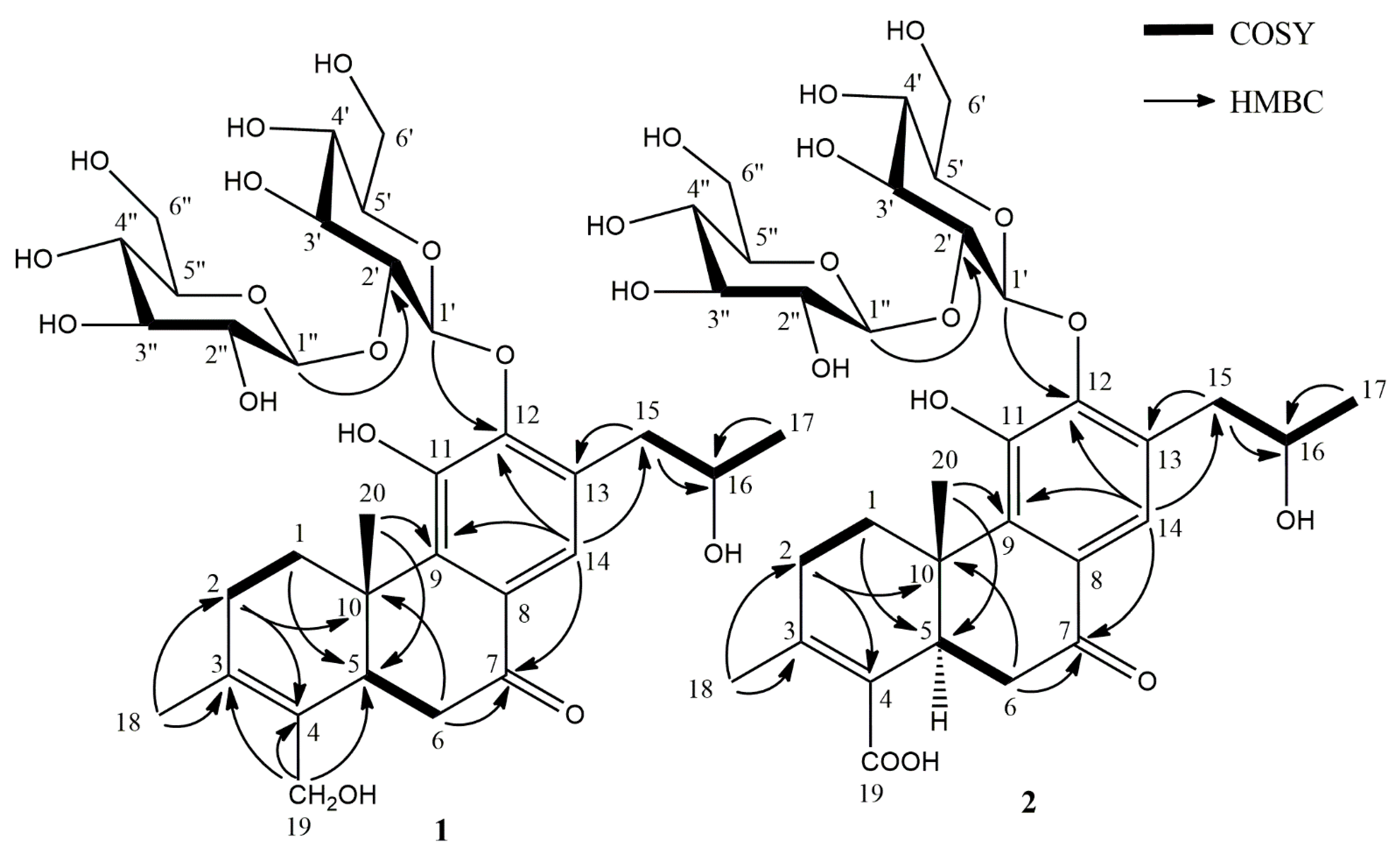 Molecules 26 04121 g002 Molecules 26 04121 g002