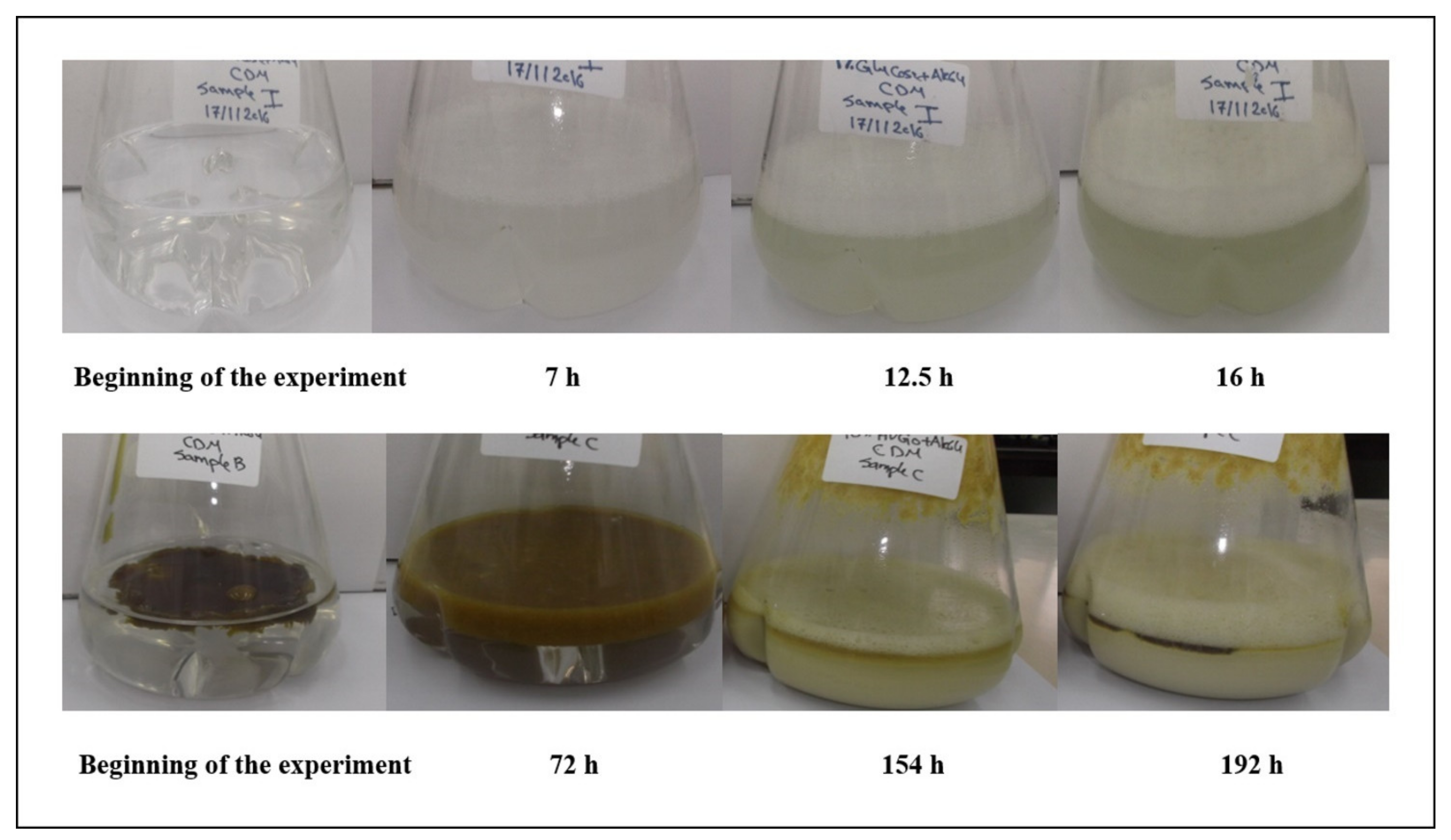 Molecules 26 04122 g001