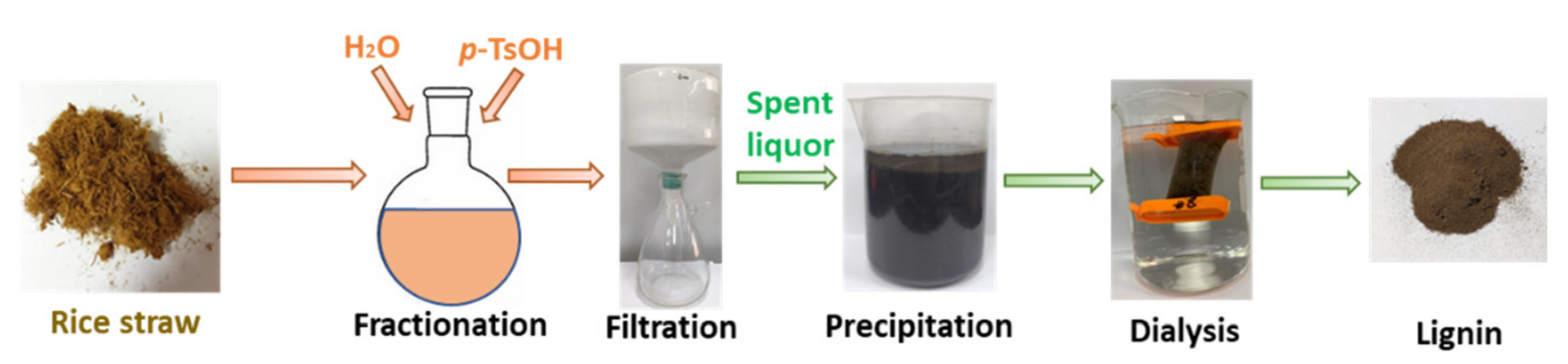 Molecules 26 04123 g001