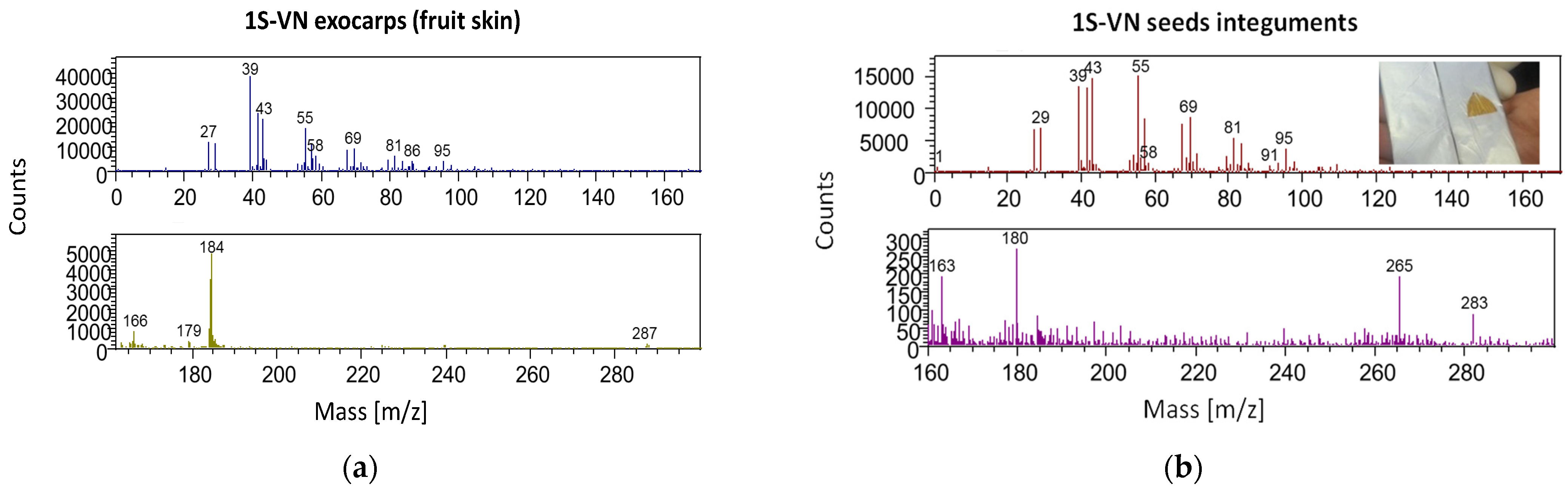 Molecules 26 04128 g006