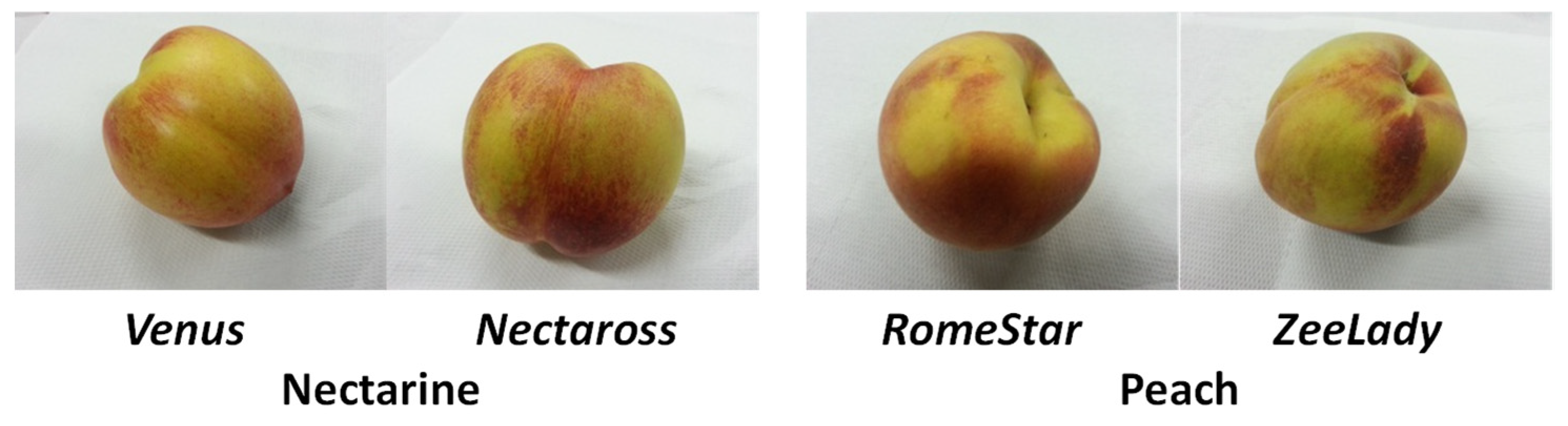 Molecules 26 04128 g008