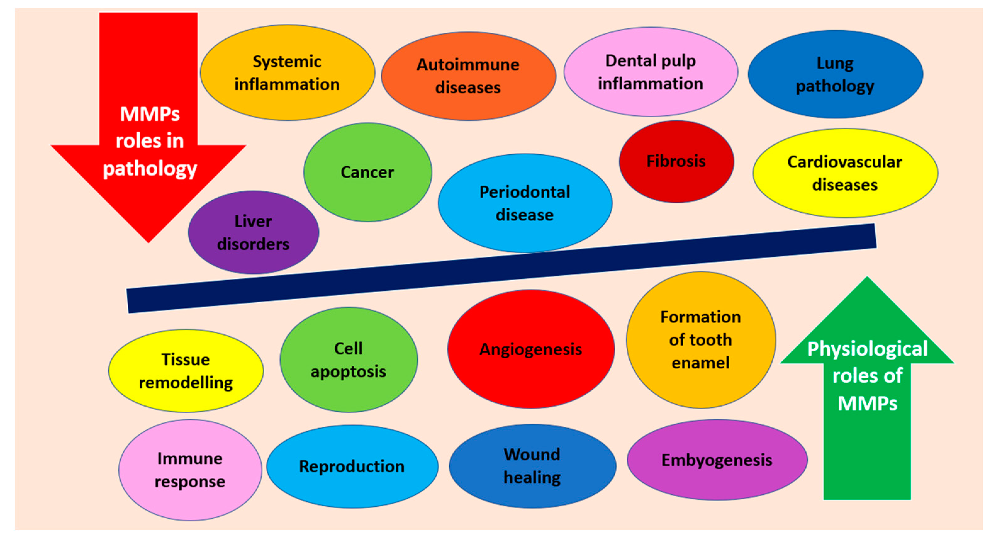 Molecules 26 04129 g002