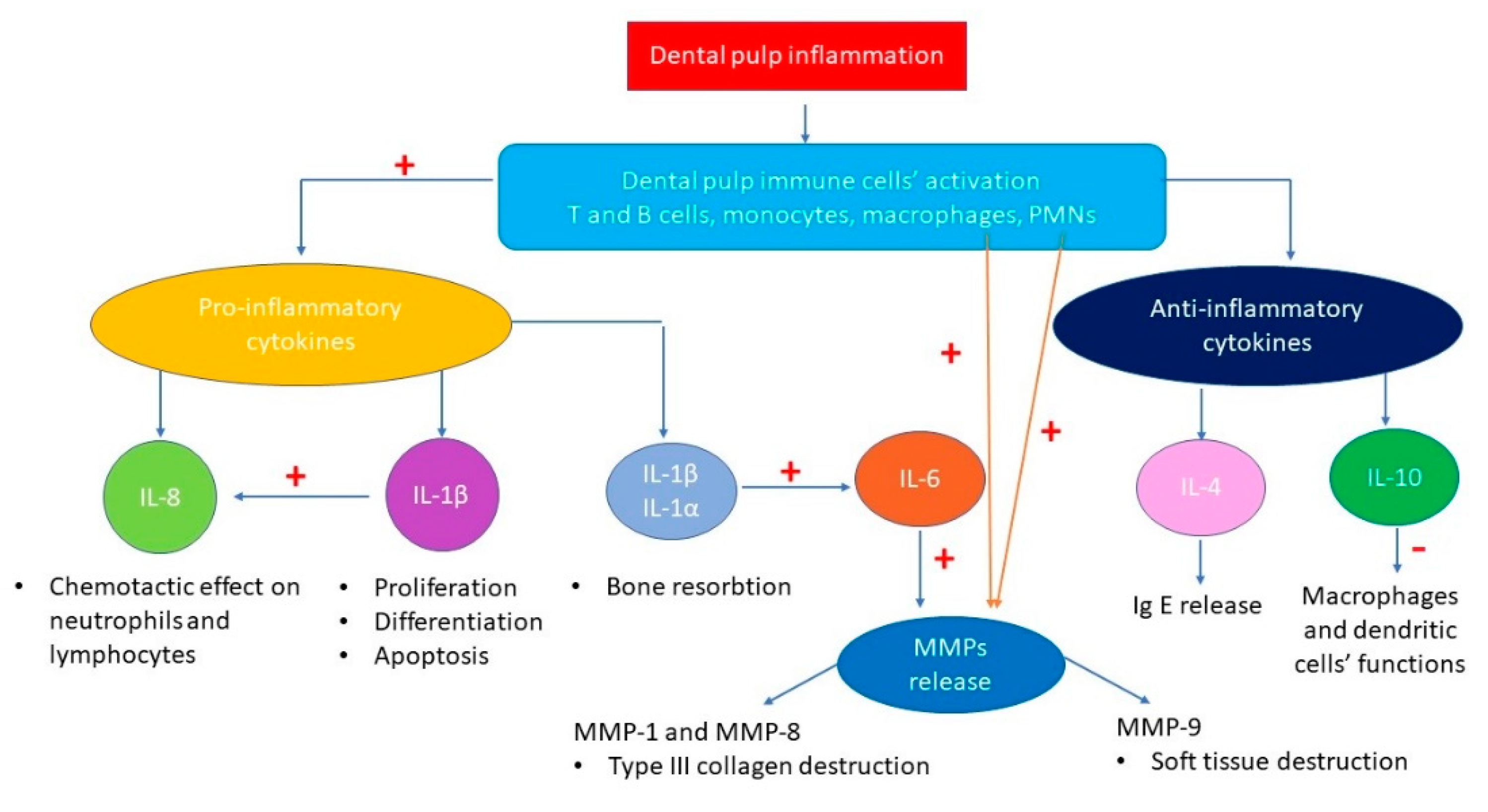 Molecules 26 04129 g004