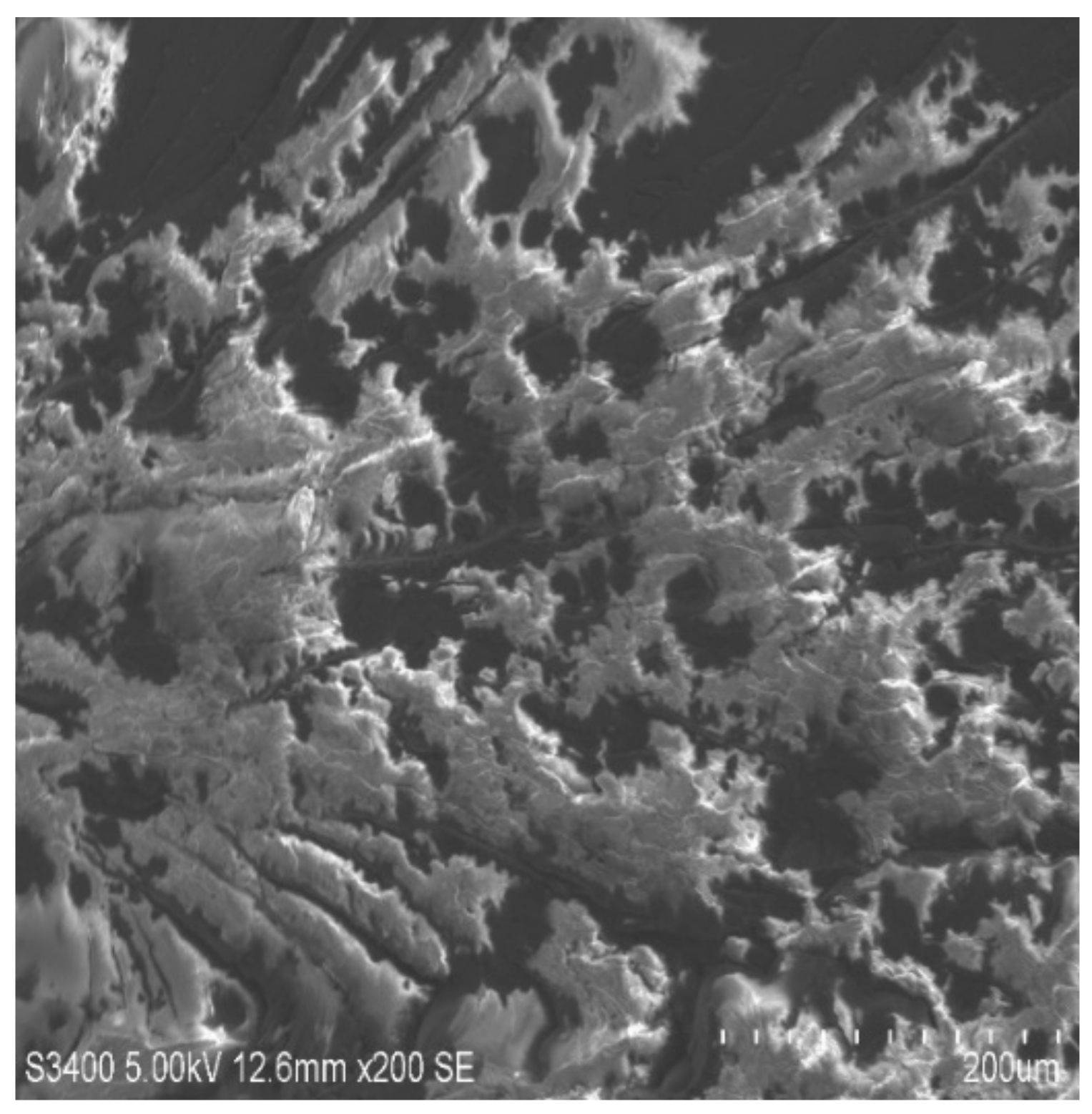 Molecules 26 04135 g010