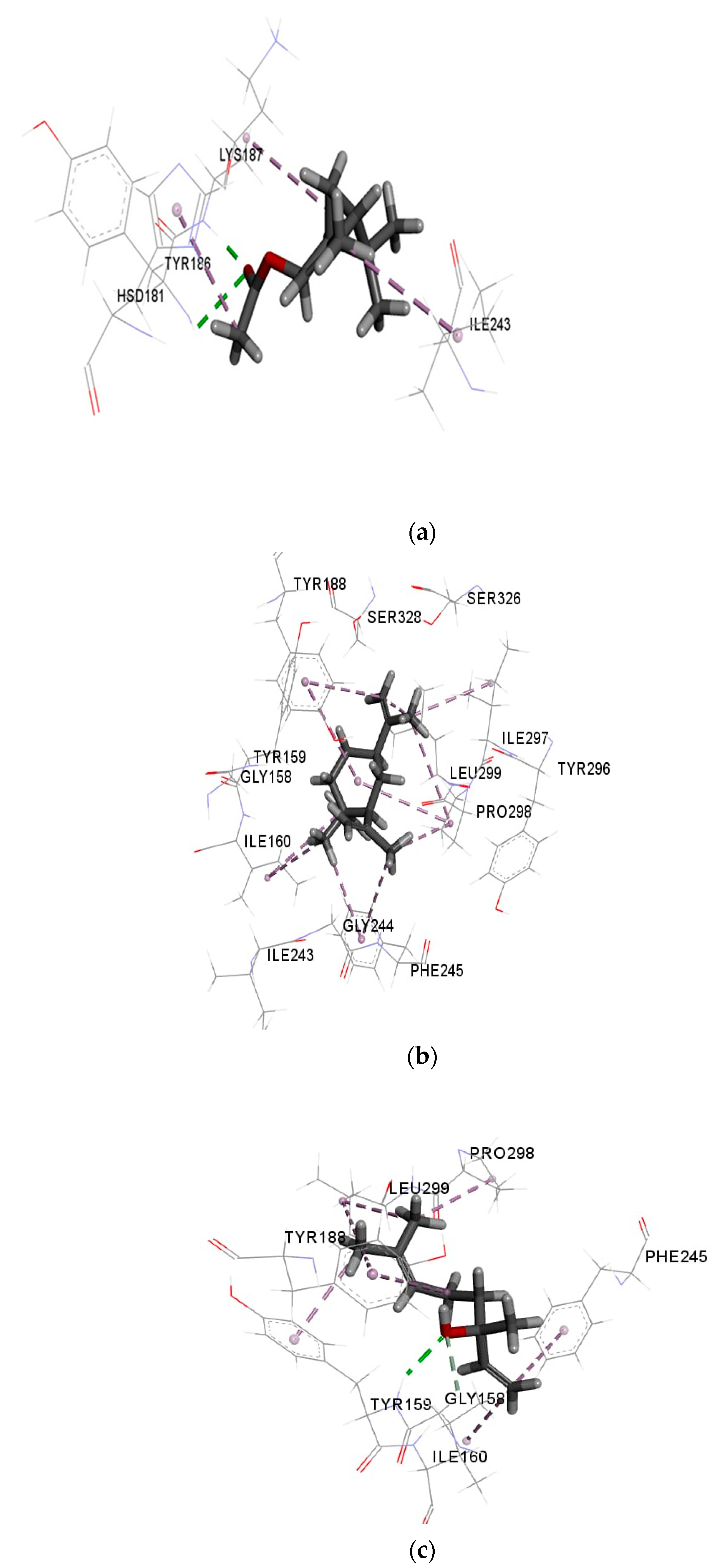 Molecules 26 04145 g003a Molecules 26 04145 g003a