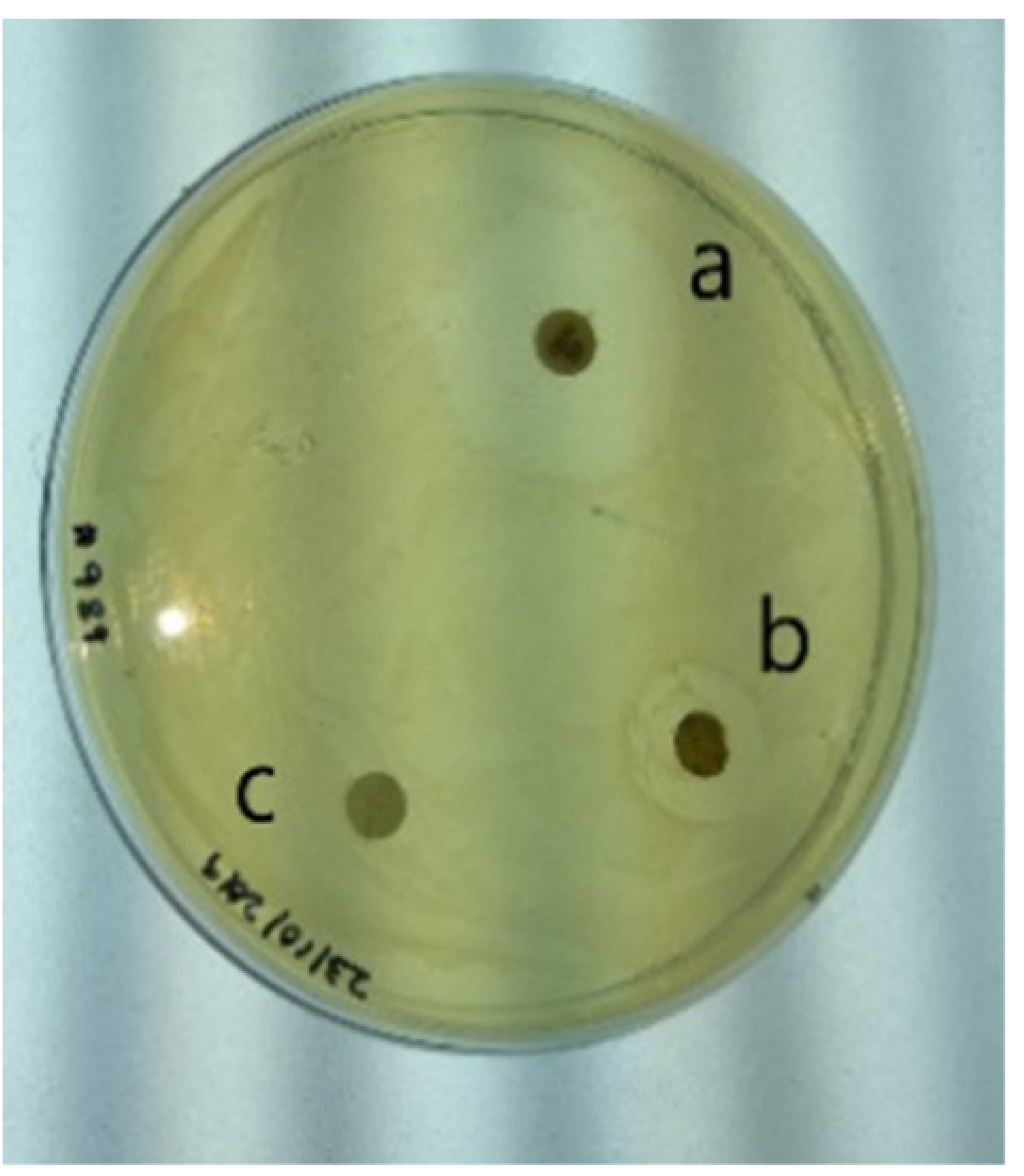 Molecules 26 04147 i001