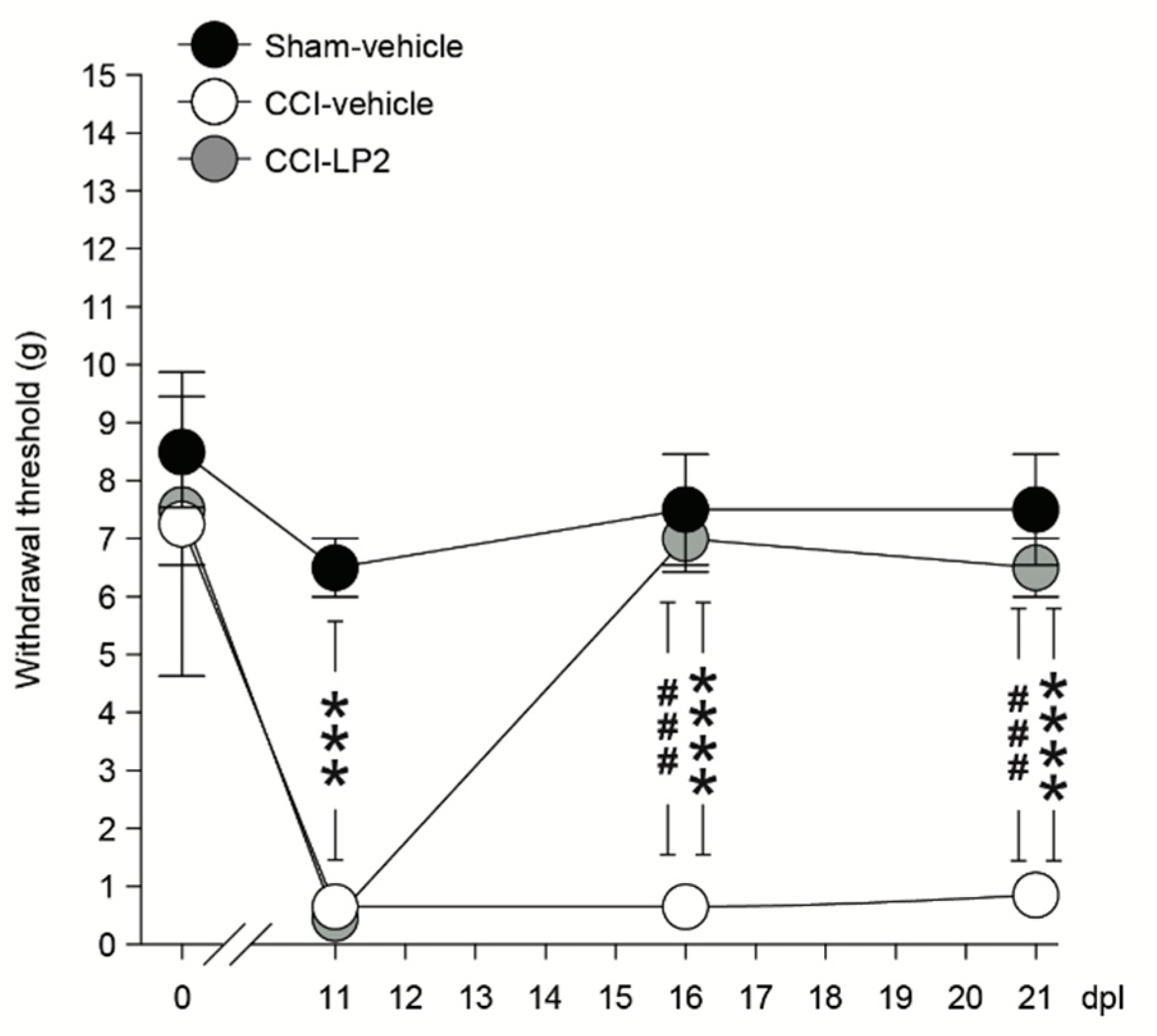 Molecules 26 04168 g010