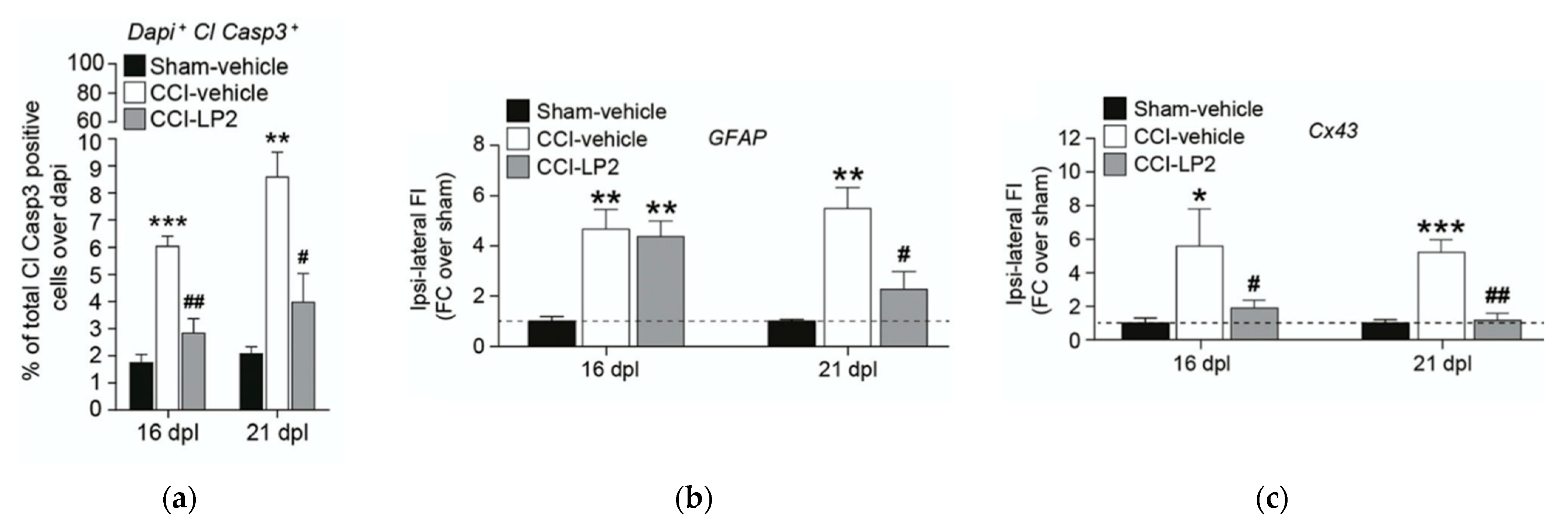 Molecules 26 04168 g011