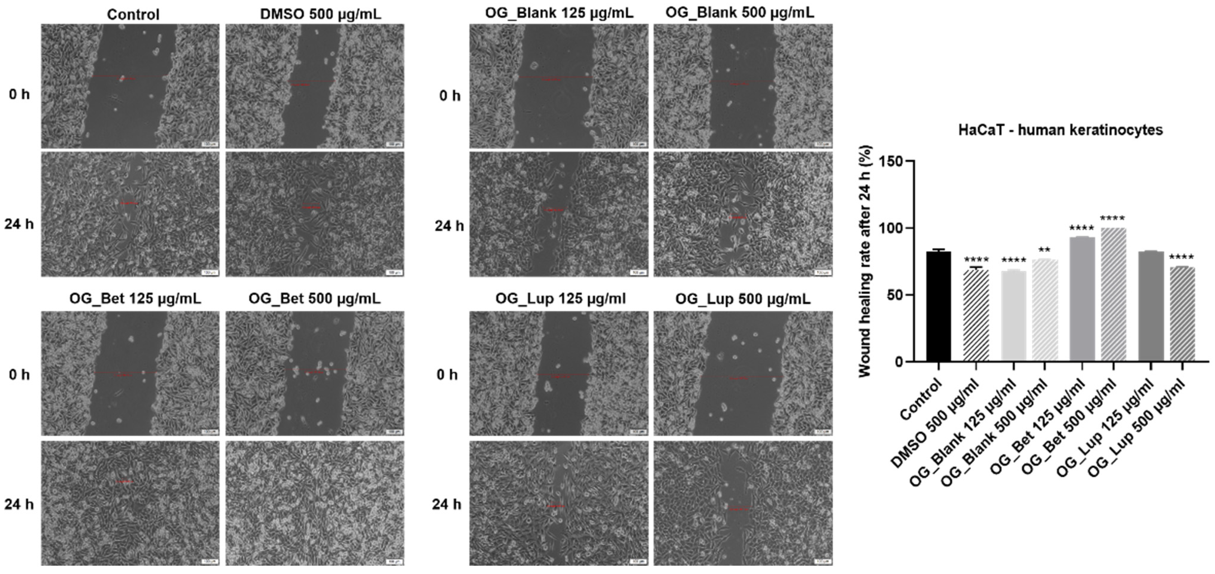 Molecules 26 04174 g006 Molecules 26 04174 g006