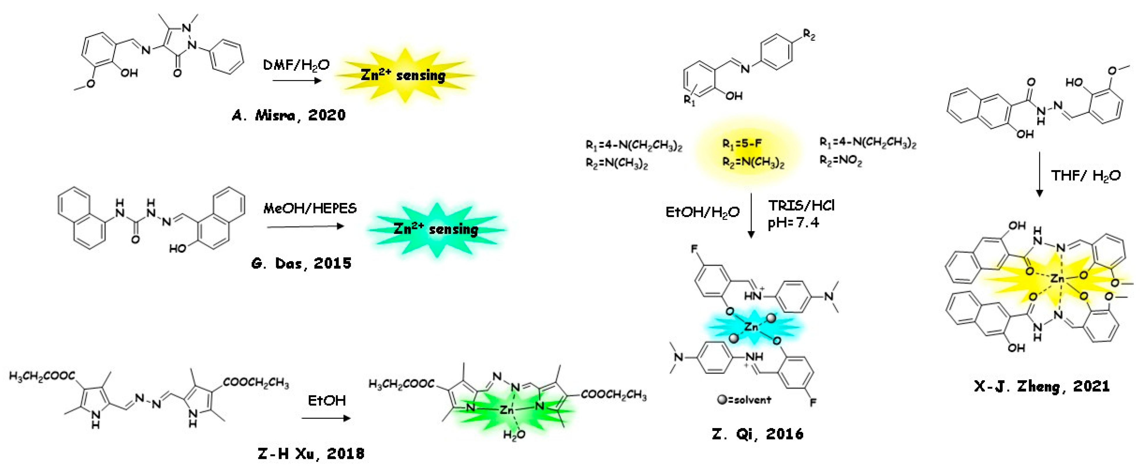 Molecules 26 04176 g005