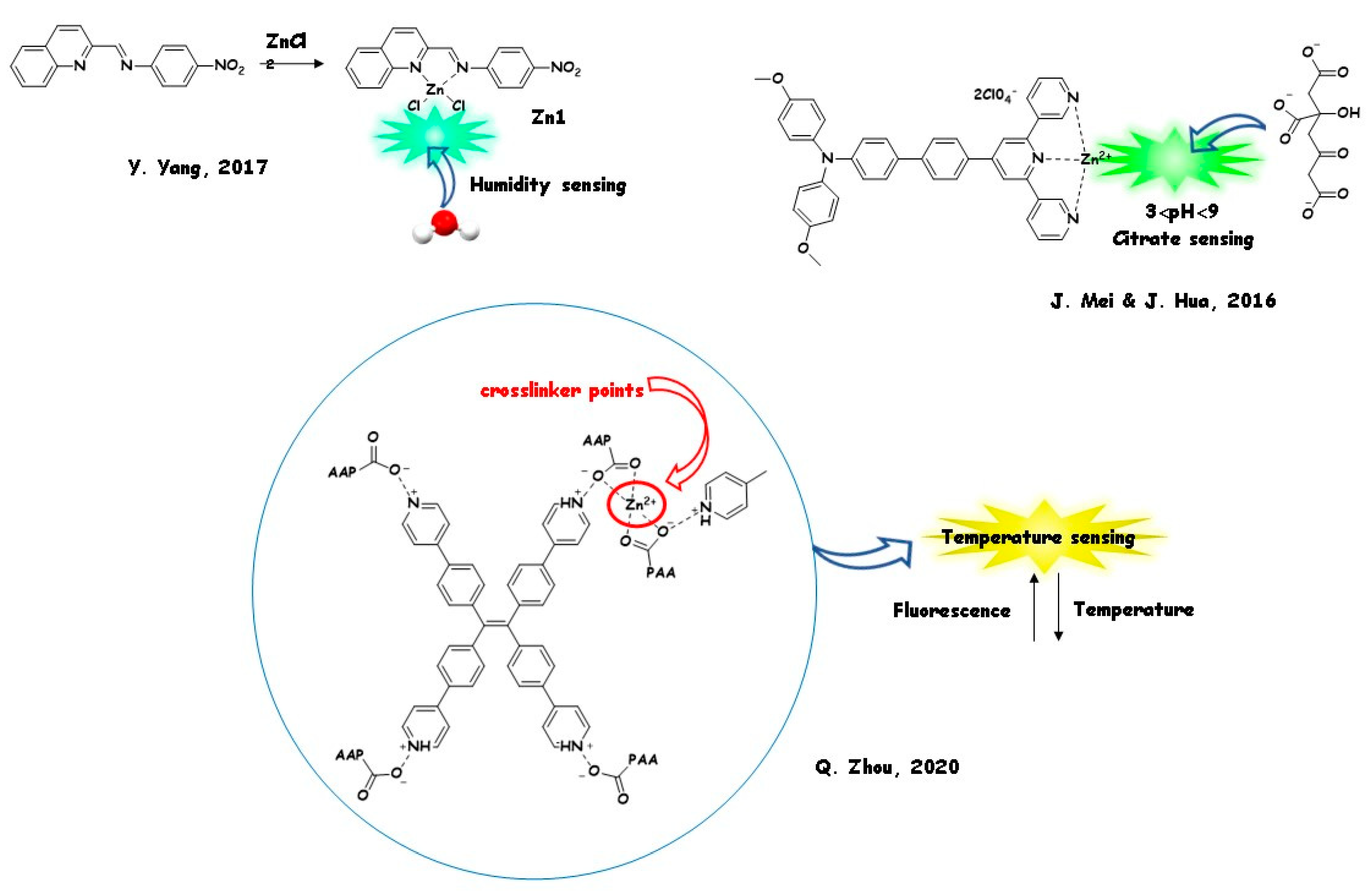 Molecules 26 04176 g007