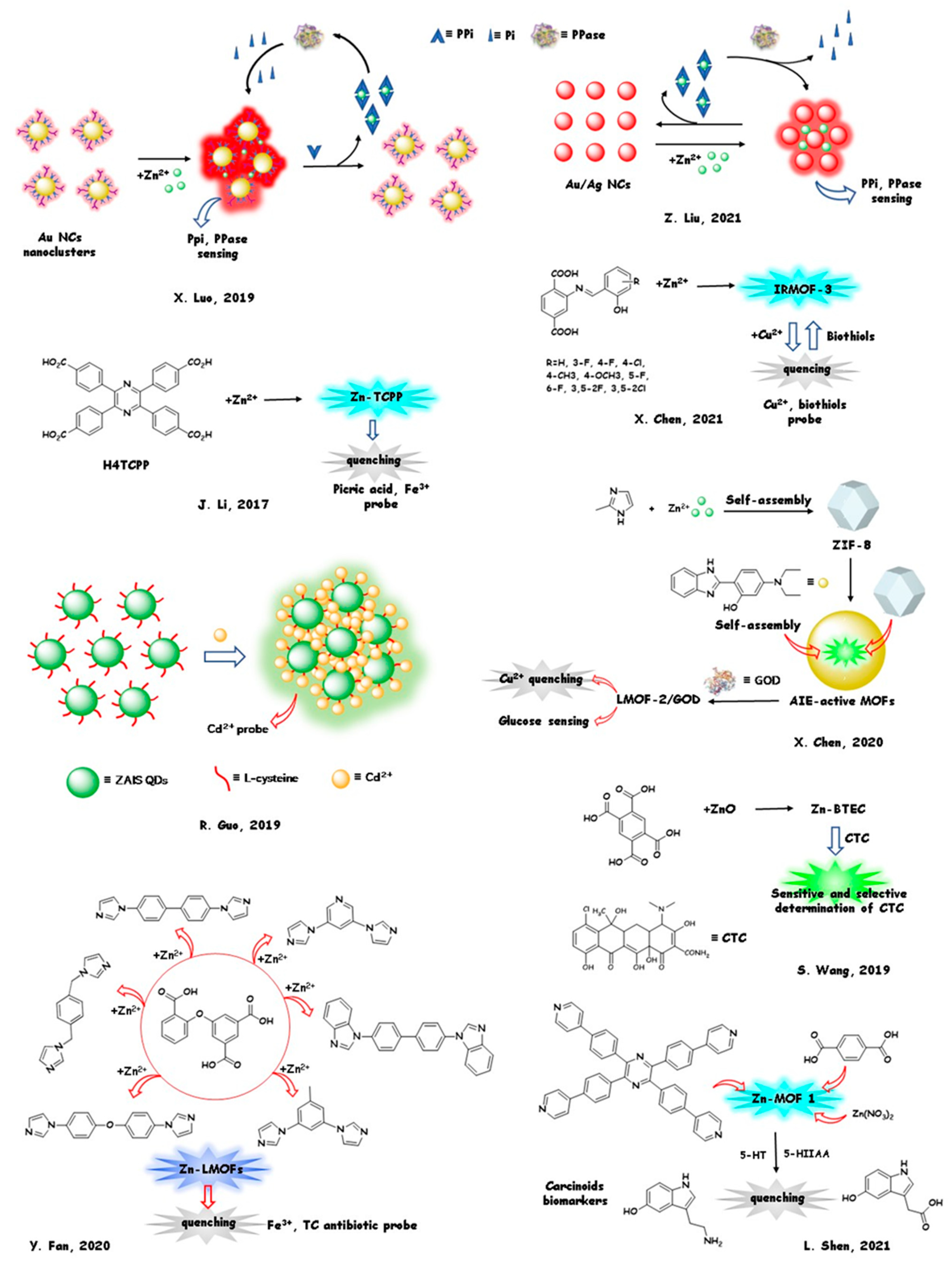 Molecules 26 04176 g008
