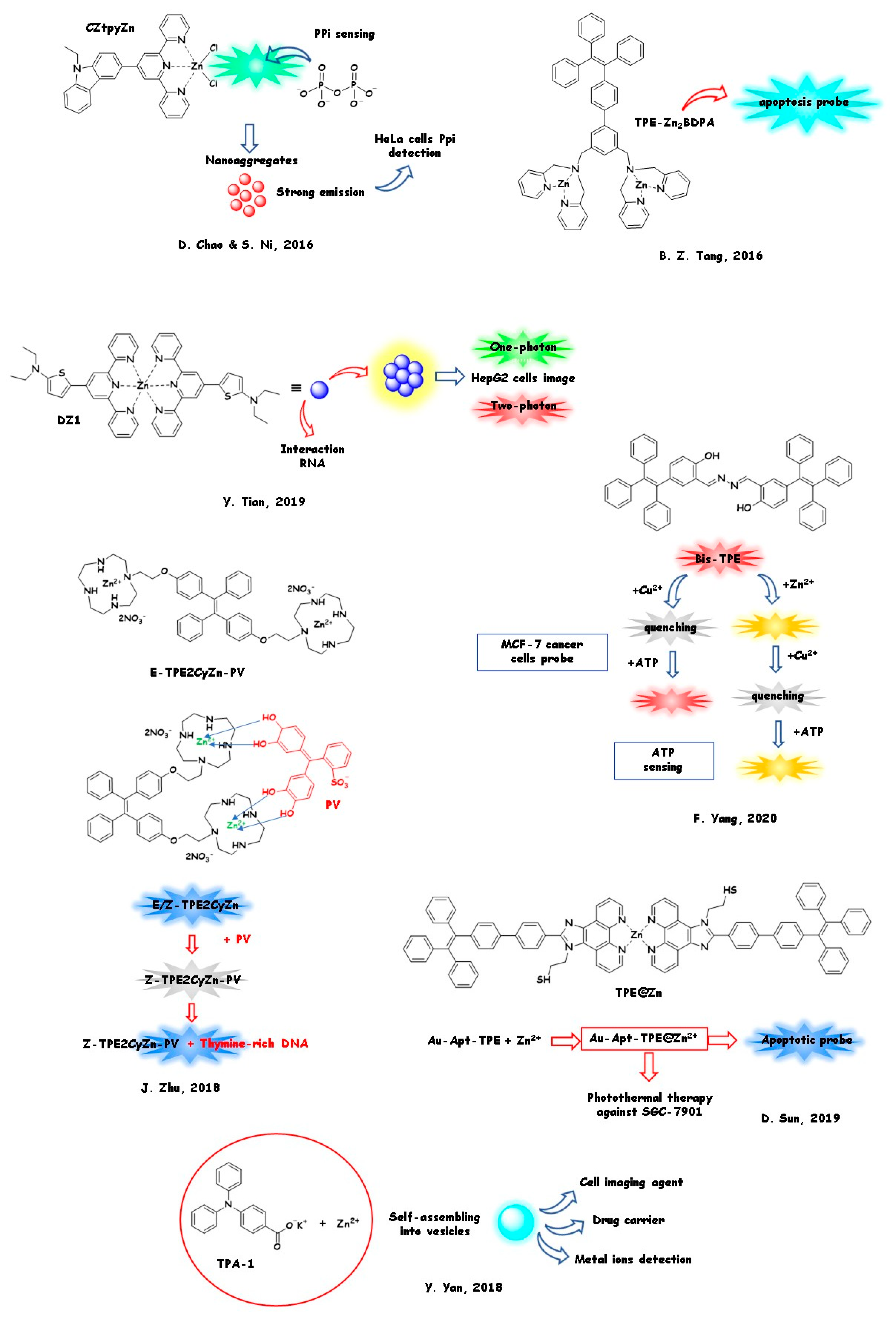 Molecules 26 04176 g010
