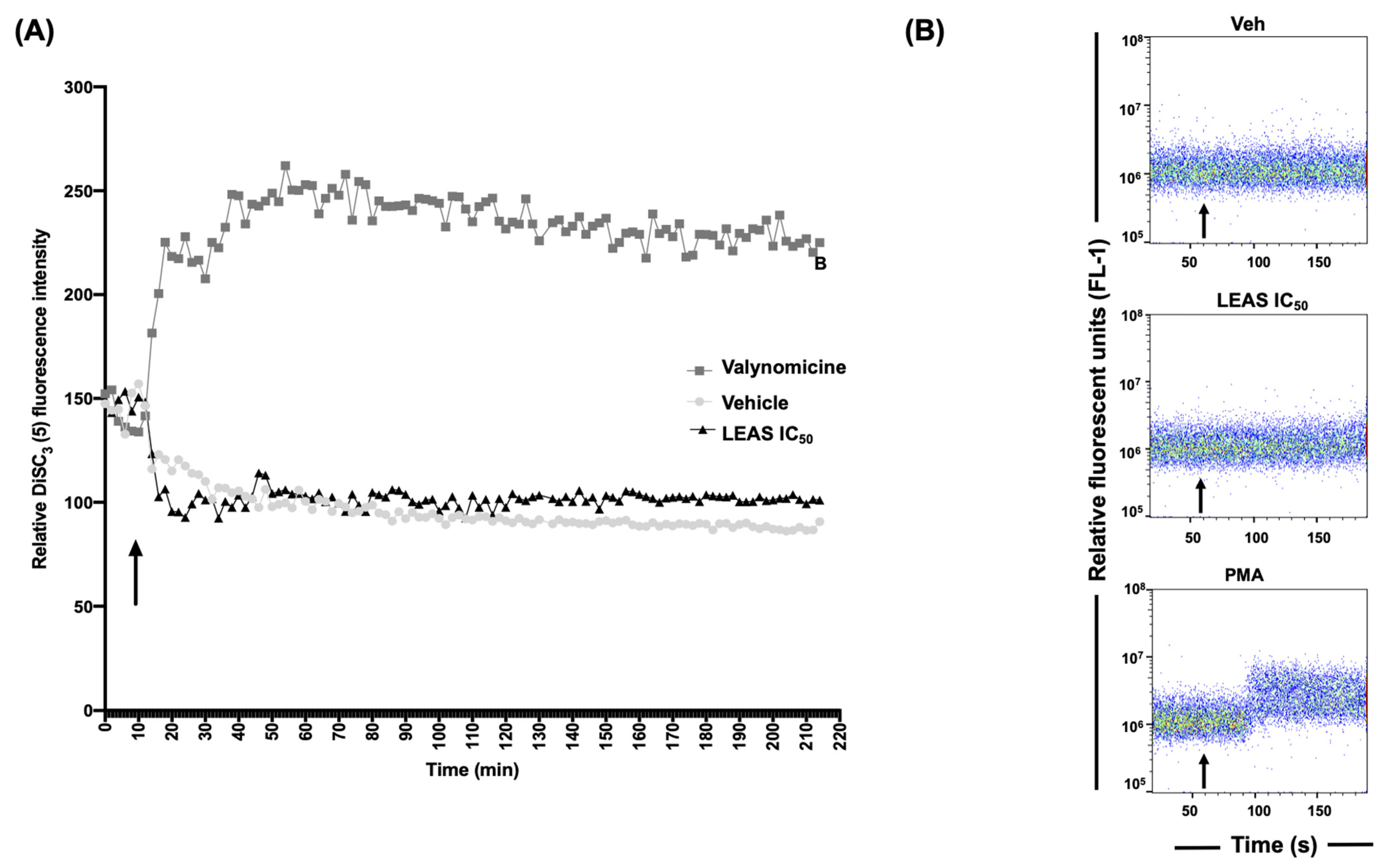 Molecules 26 04178 g002