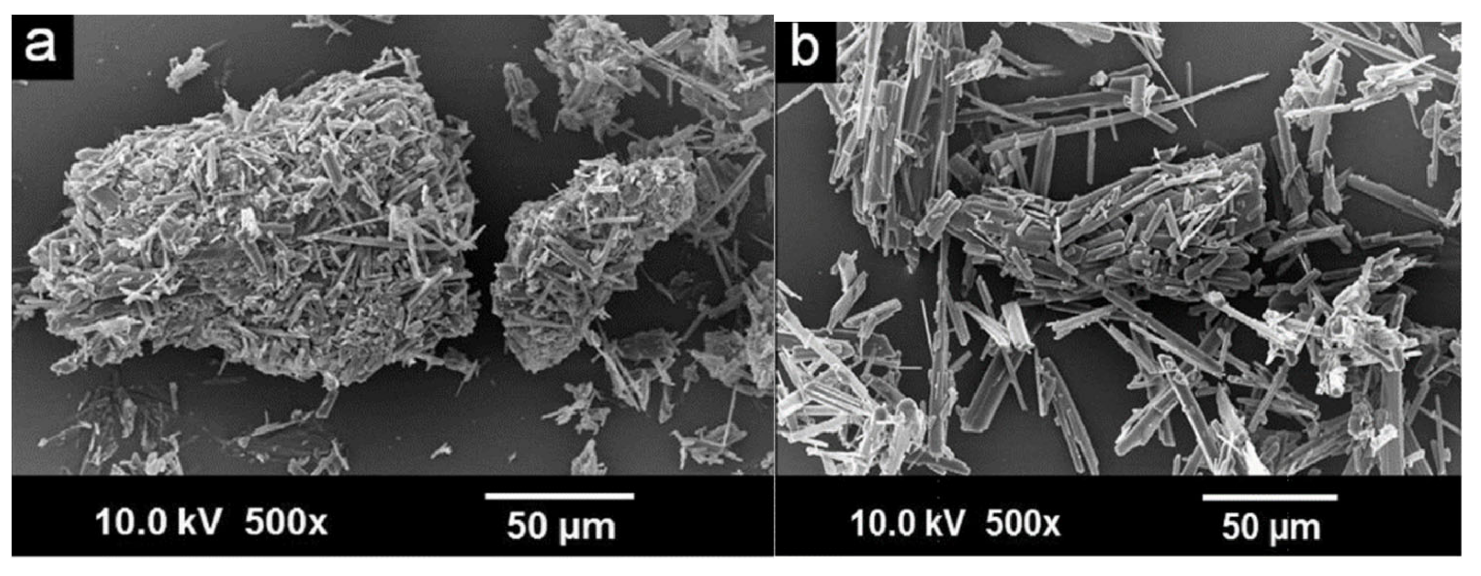 Molecules 26 04185 g008 Molecules 26 04185 g008