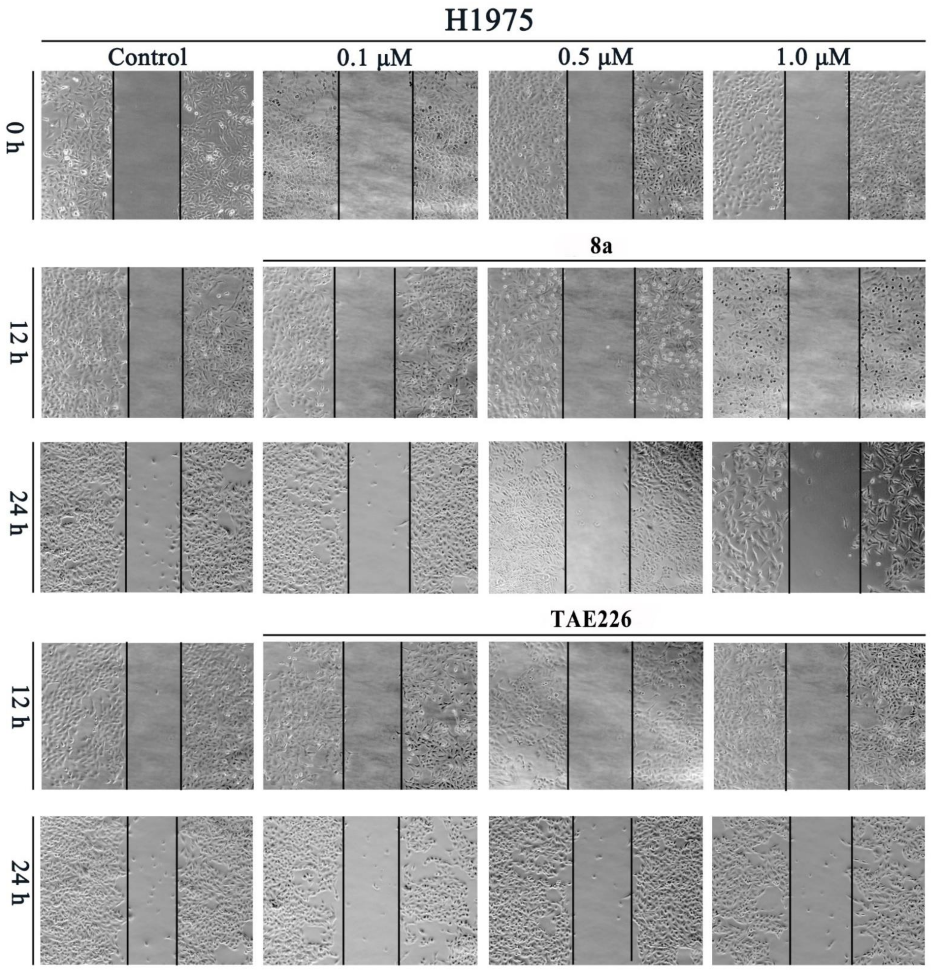 Molecules 26 04187 g009