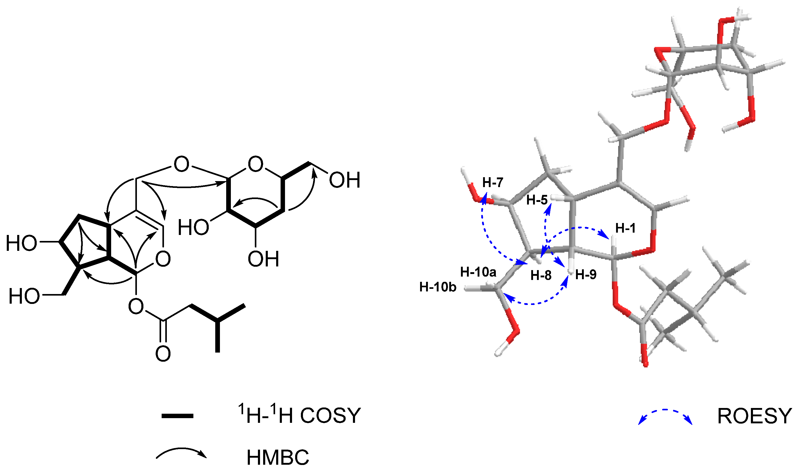 Molecules 26 04201 g003 Molecules 26 04201 g003