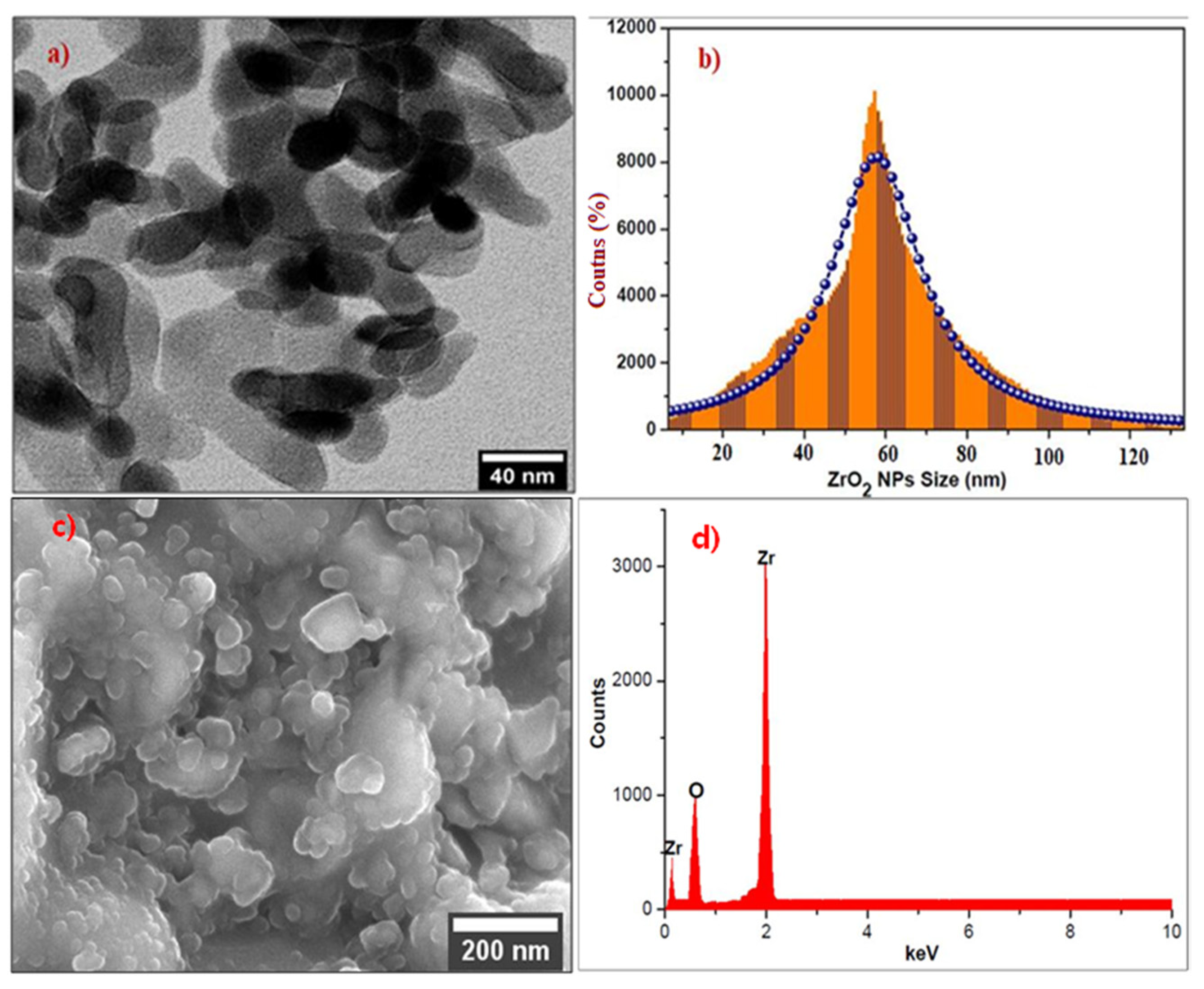 Molecules 26 04219 g003 Molecules 26 04219 g003