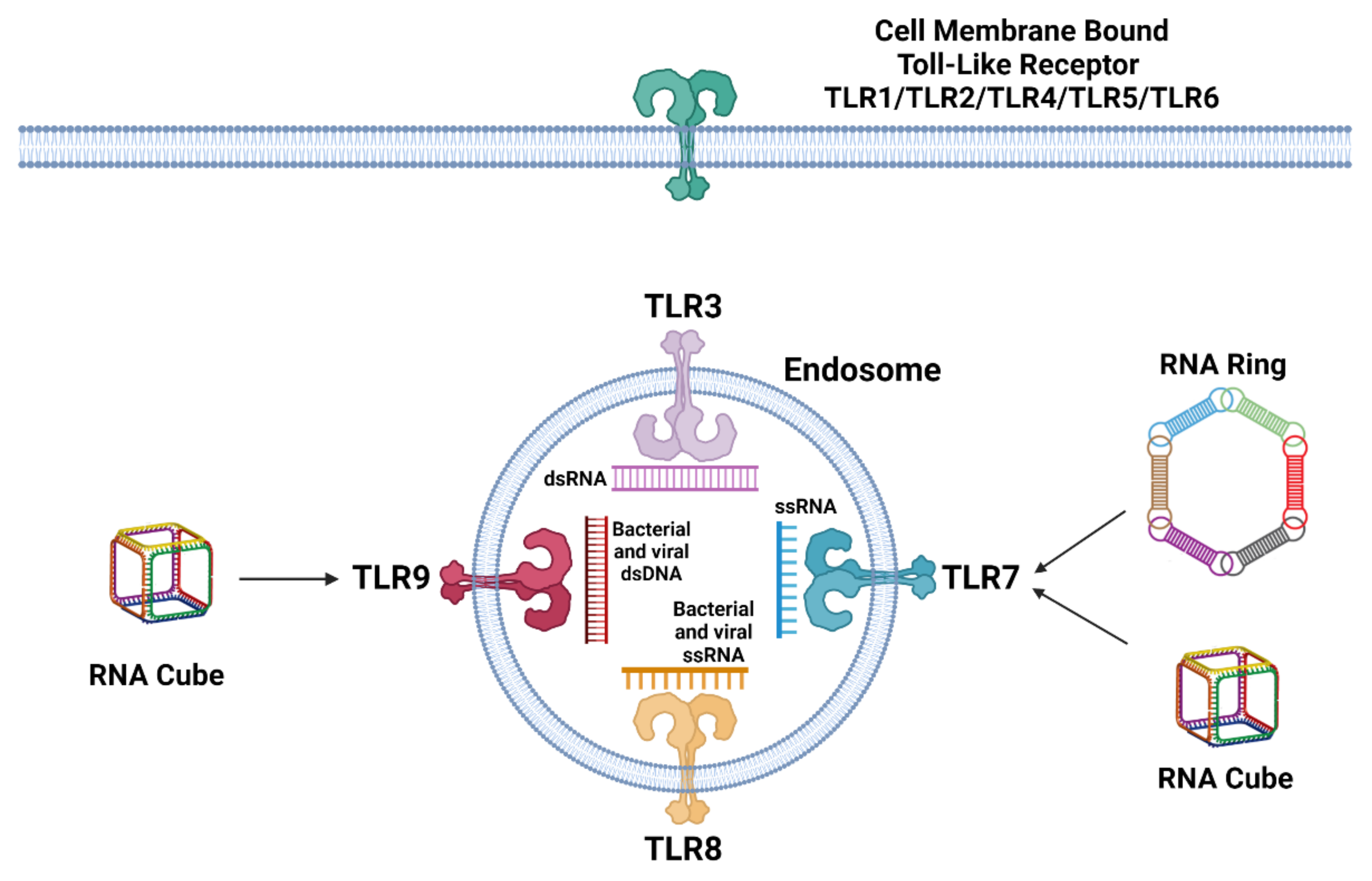 Molecules 26 04231 g001