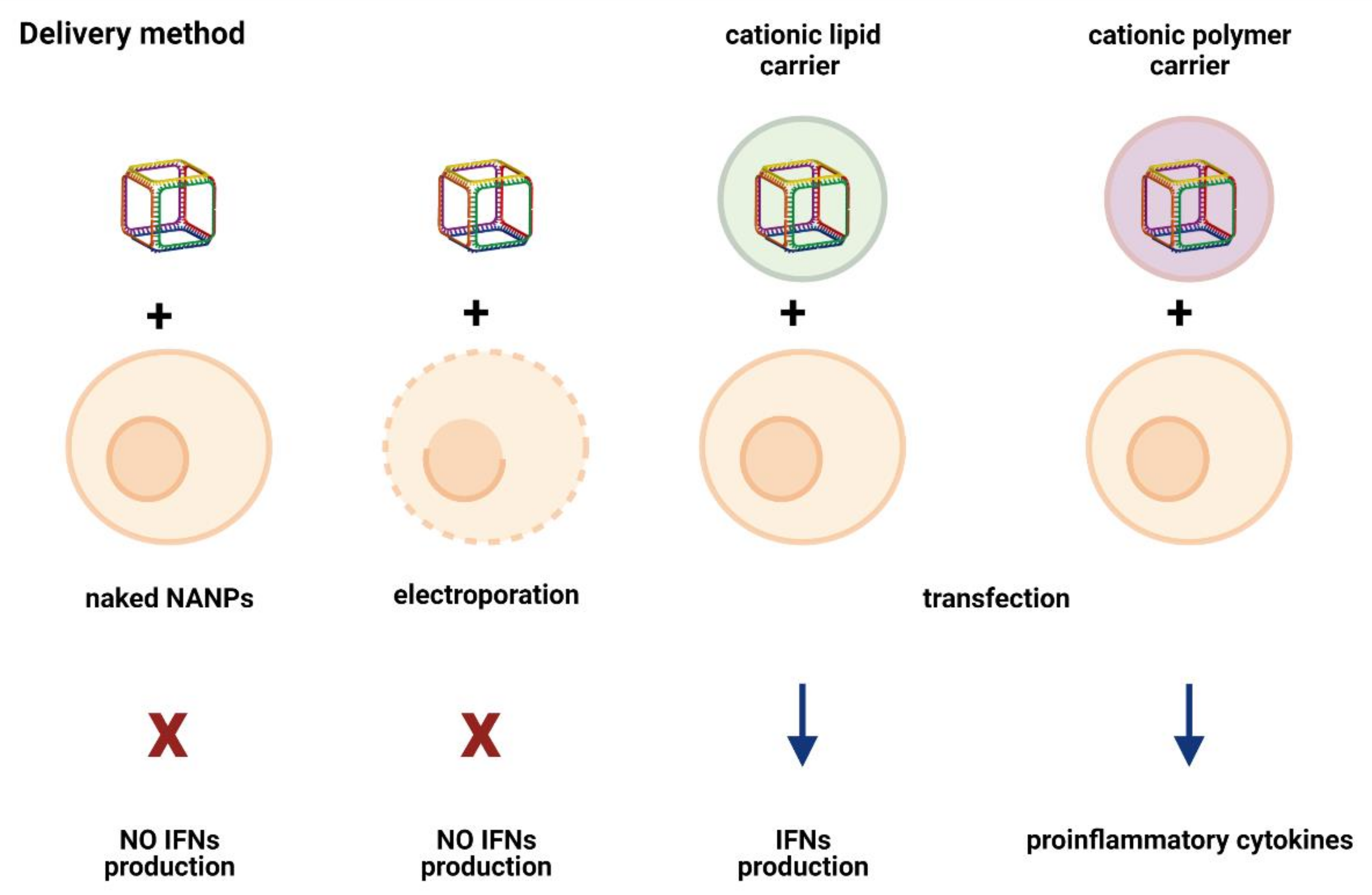 Molecules 26 04231 g003