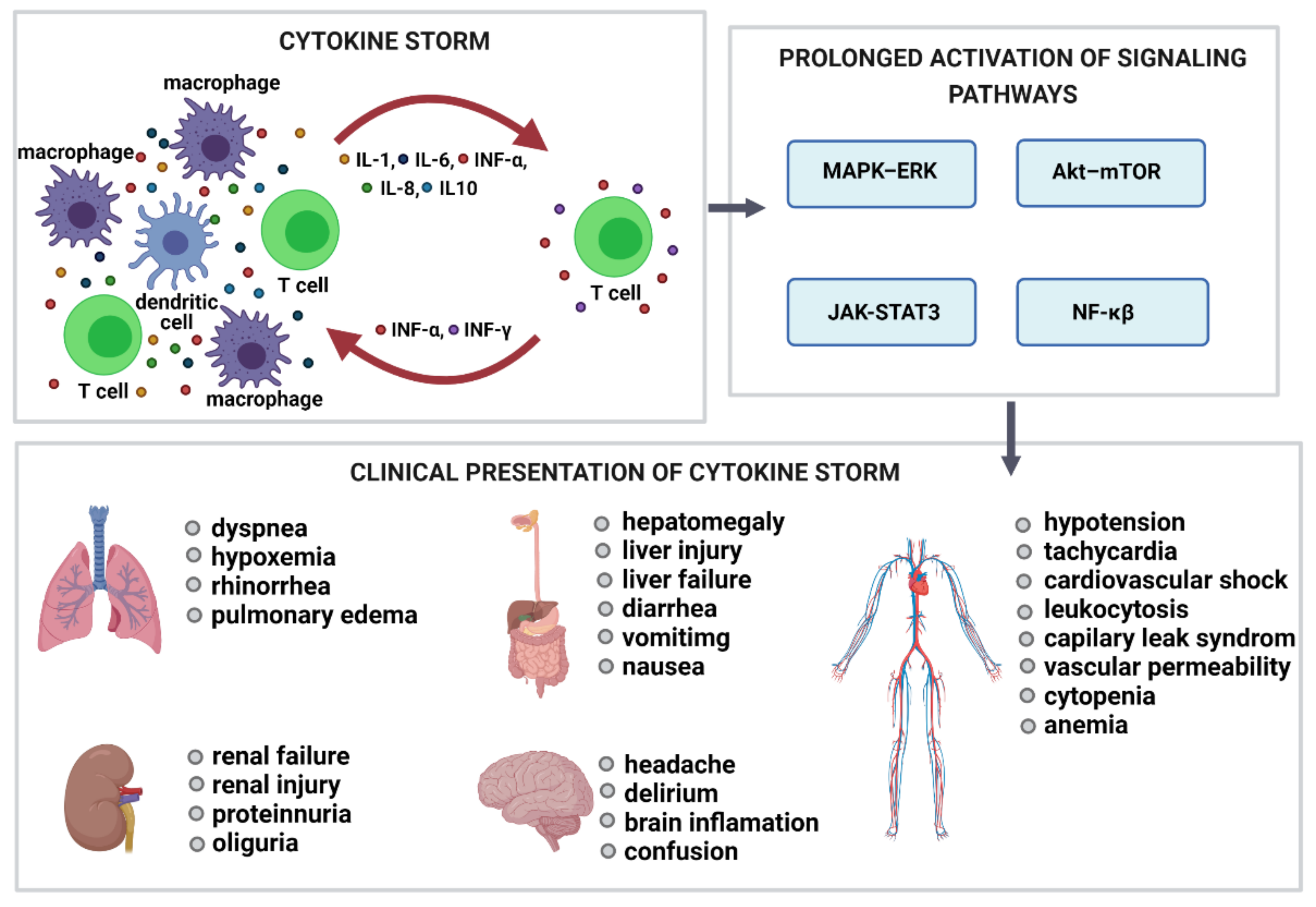 Molecules 26 04231 g004