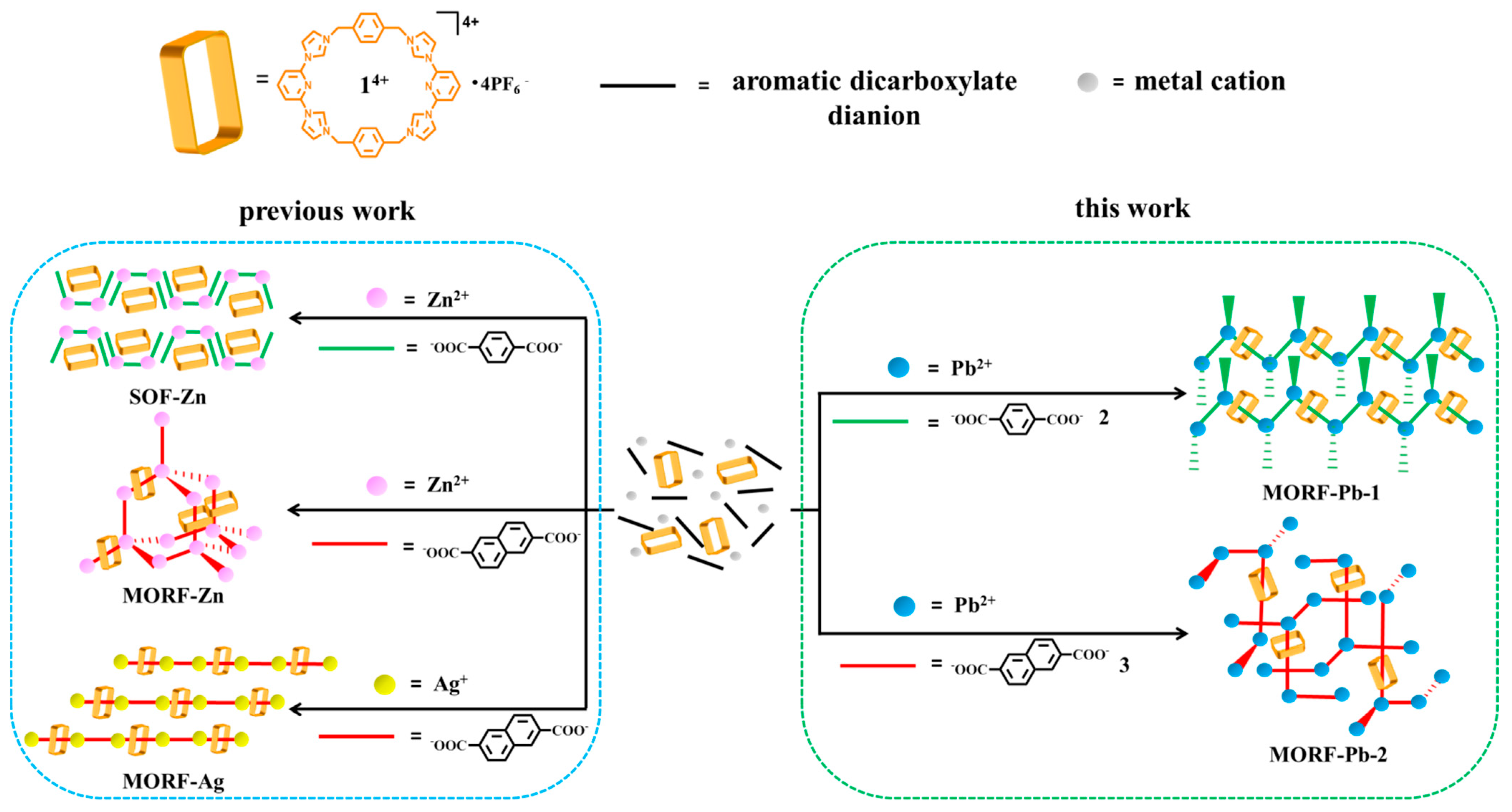 Molecules 26 04241 g001