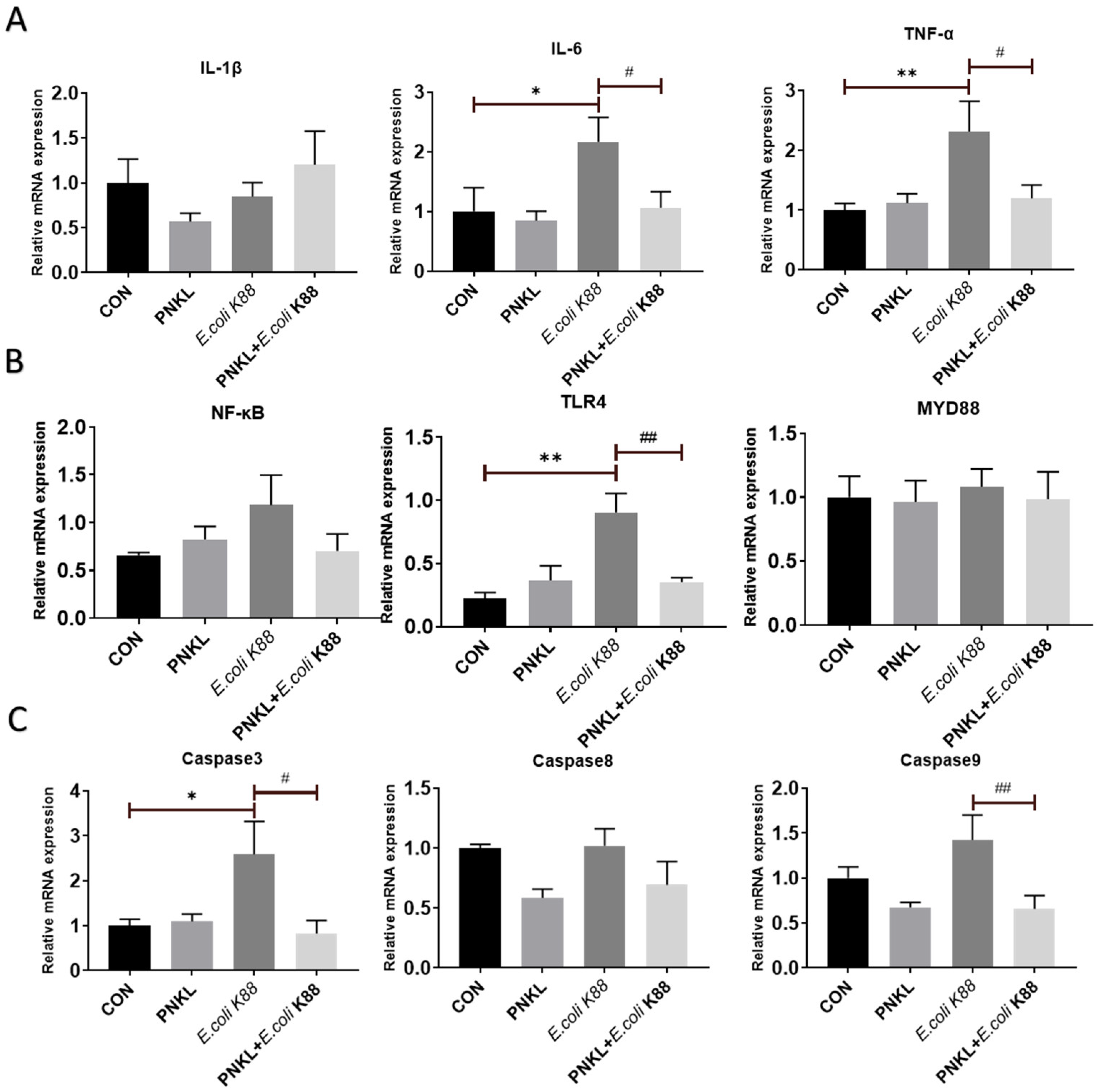 Molecules 26 04242 g007 Molecules 26 04242 g007