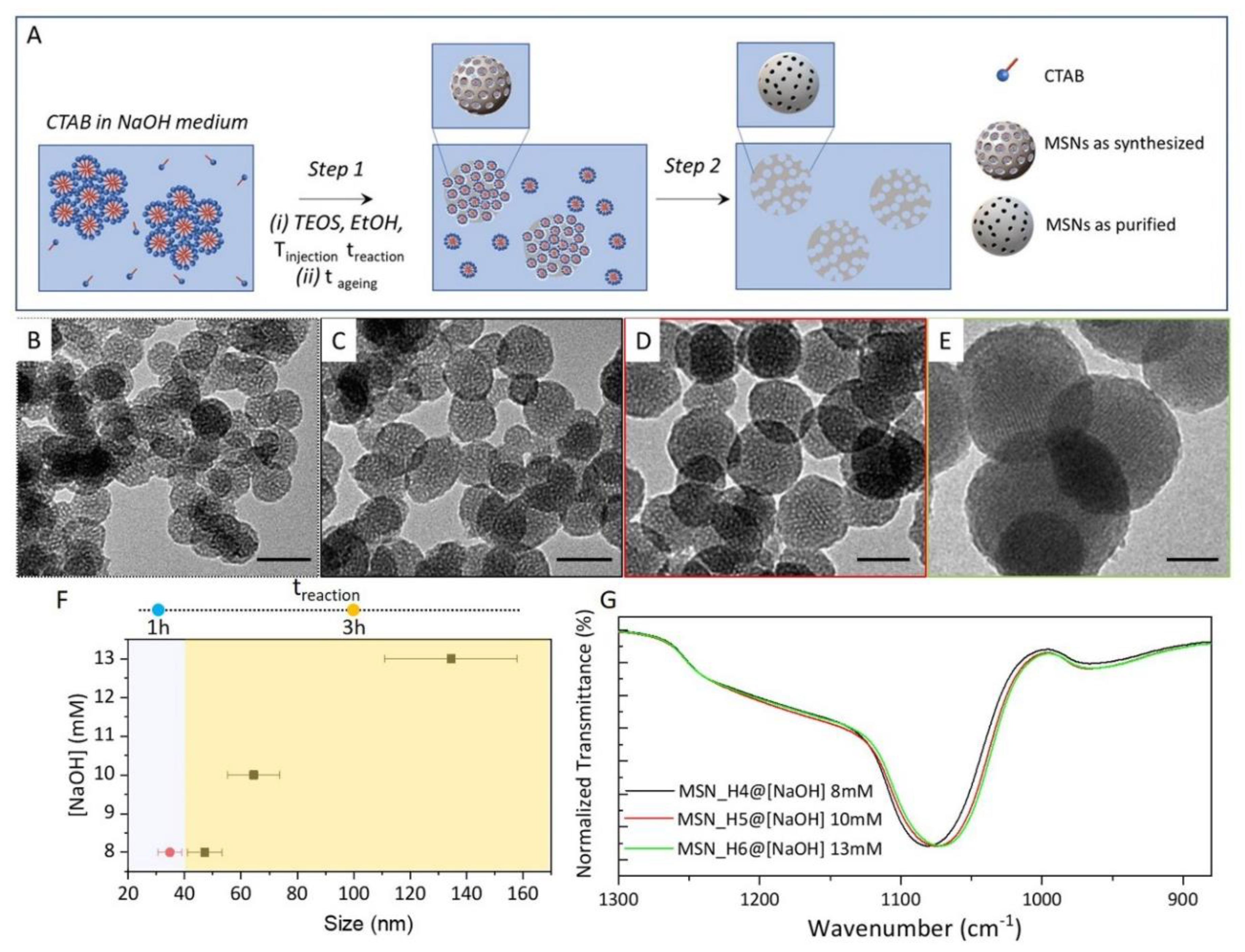 Molecules 26 04247 g001