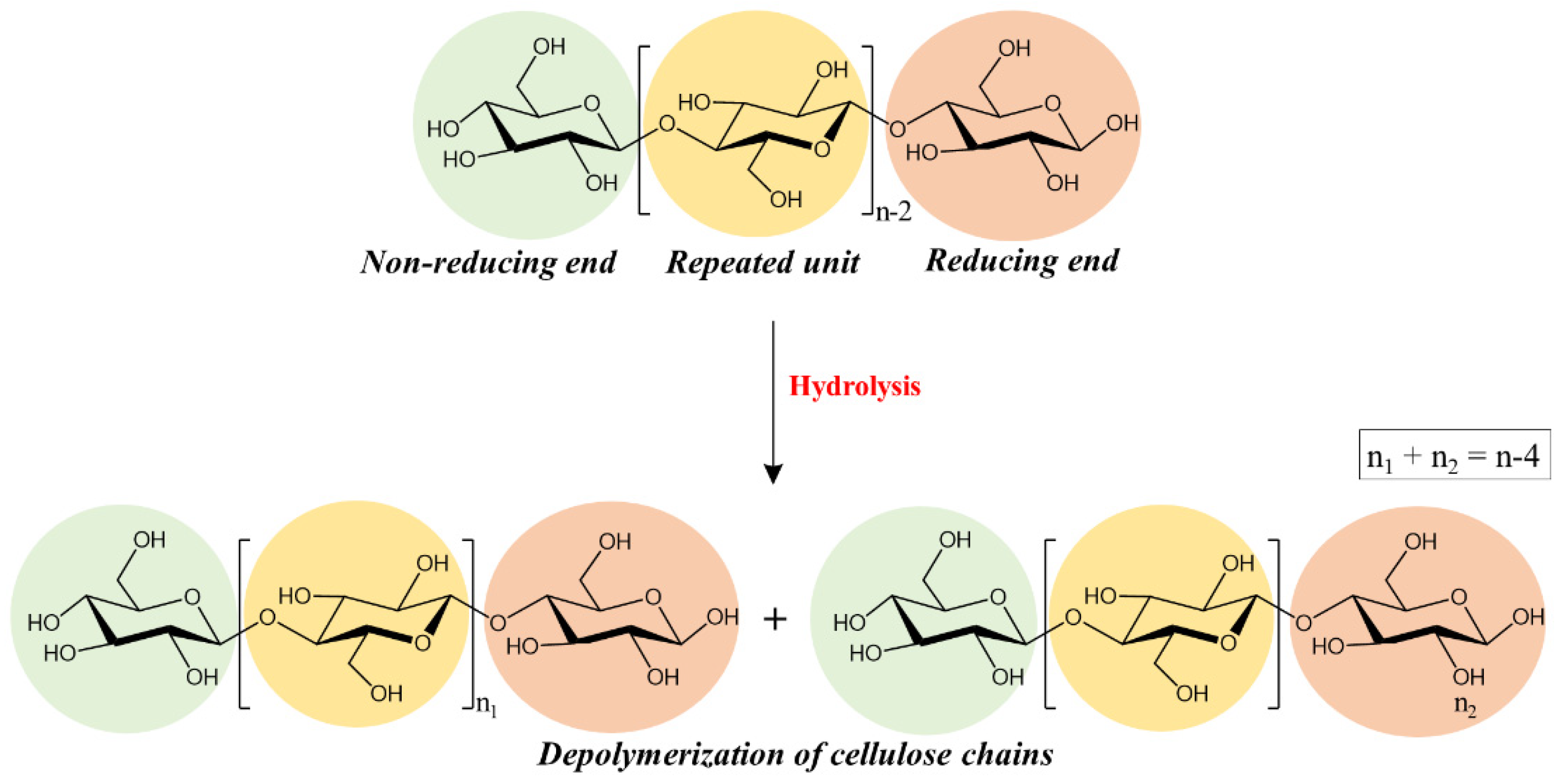 Molecules 26 04249 g001