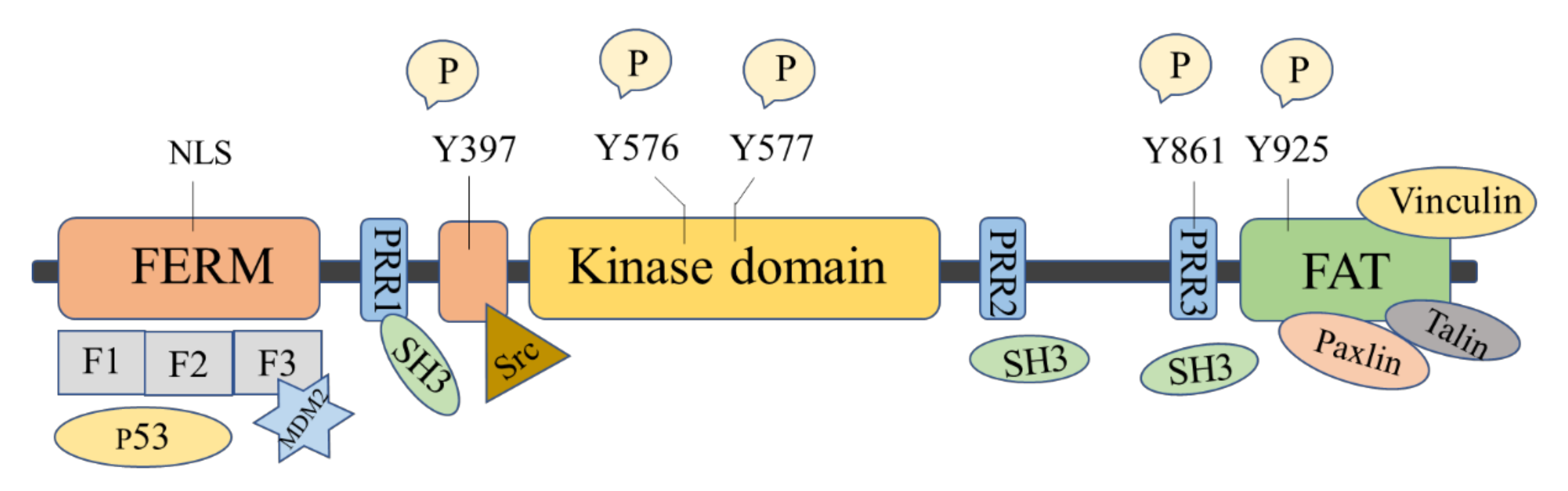 Molecules 26 04250 g001