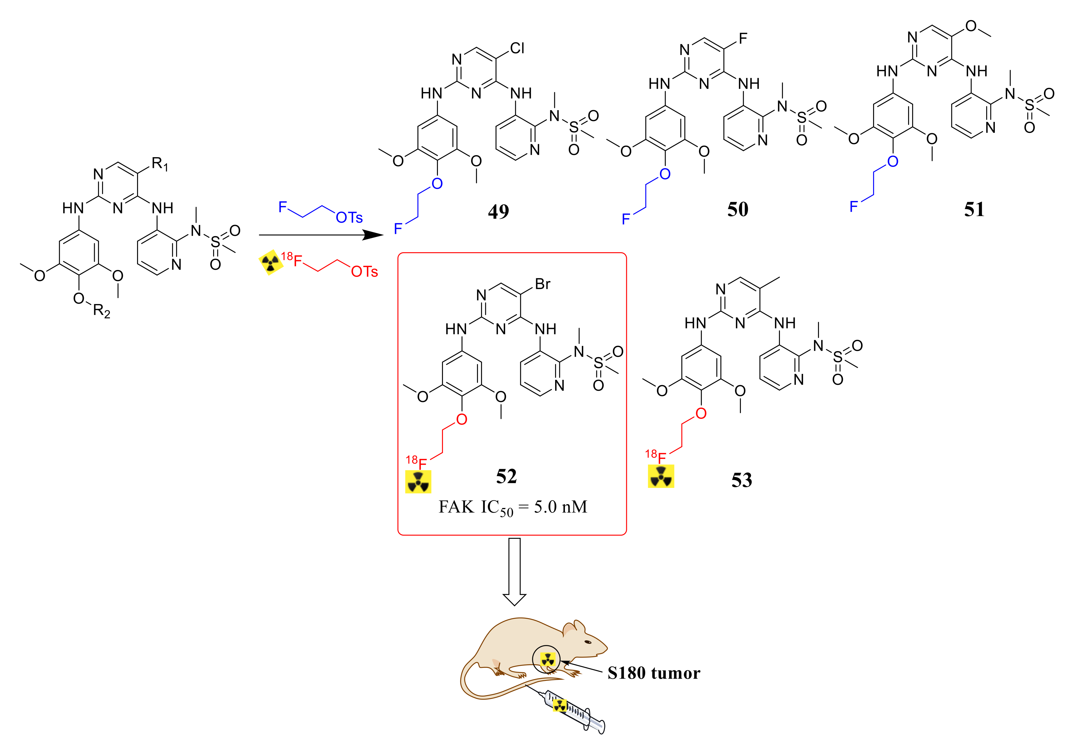 Molecules 26 04250 g018