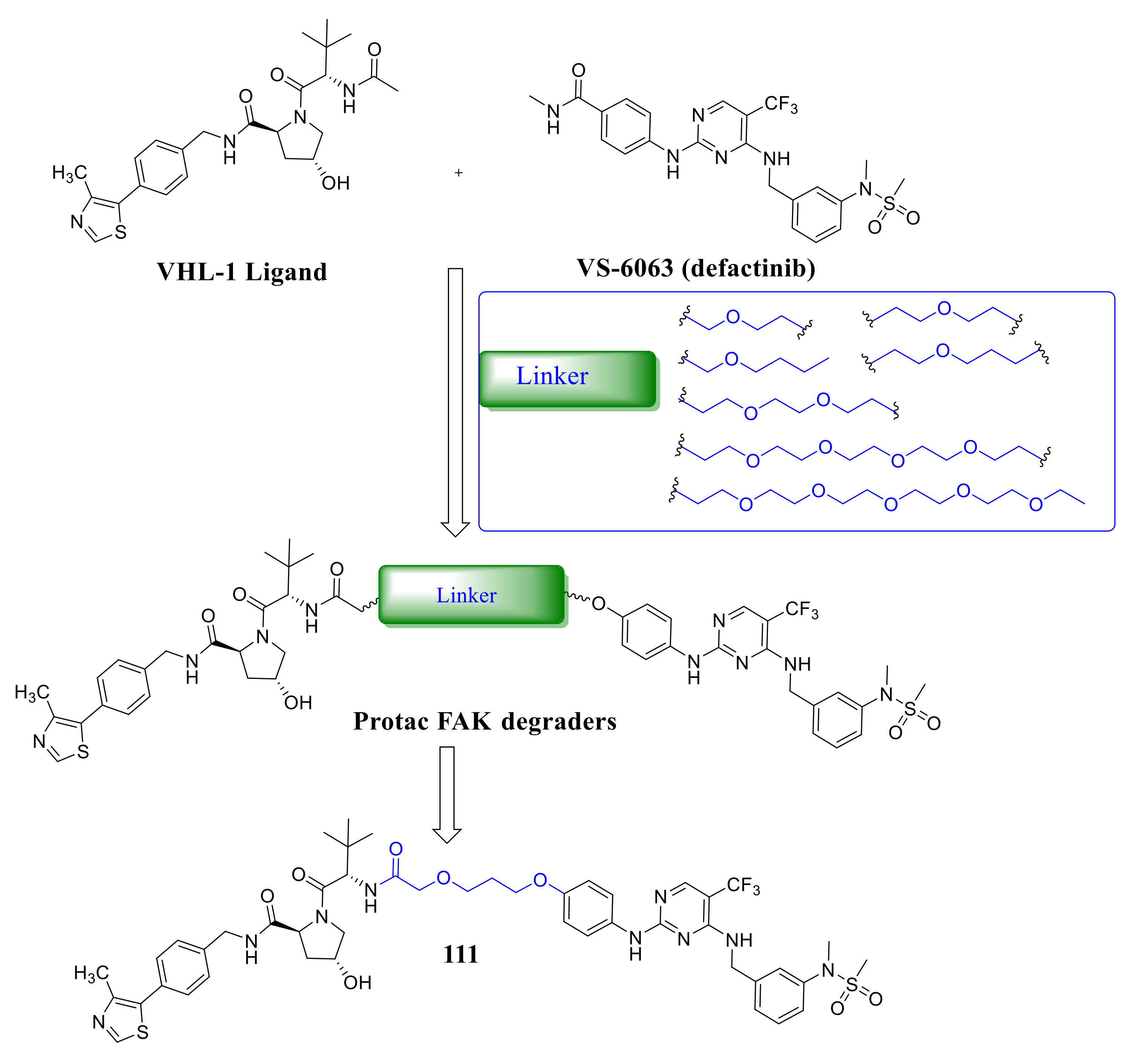Molecules 26 04250 g037