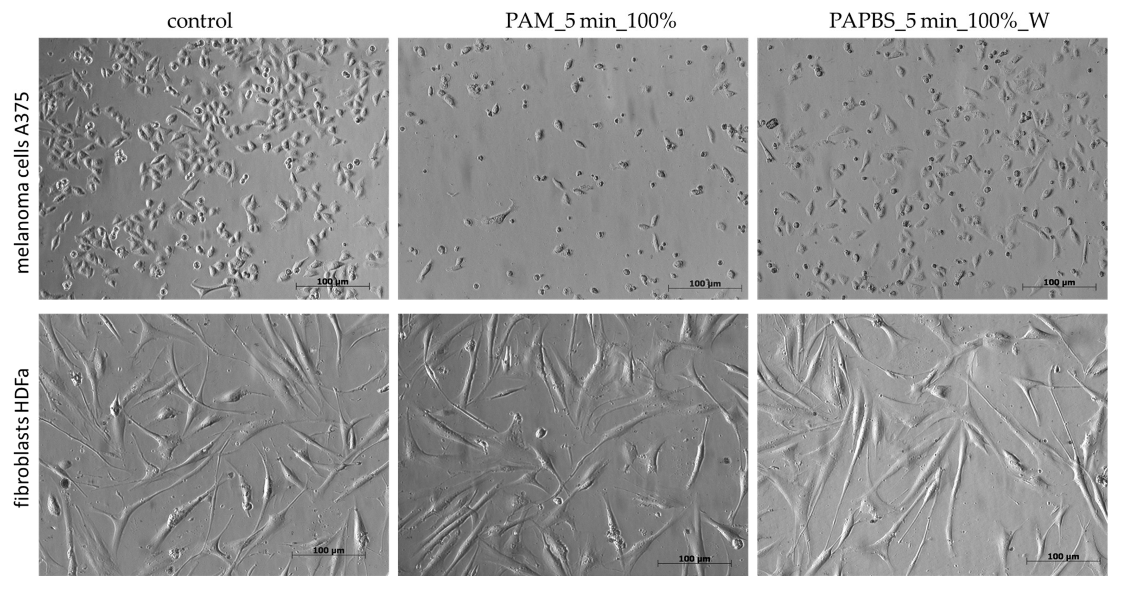 Molecules 26 04254 g004