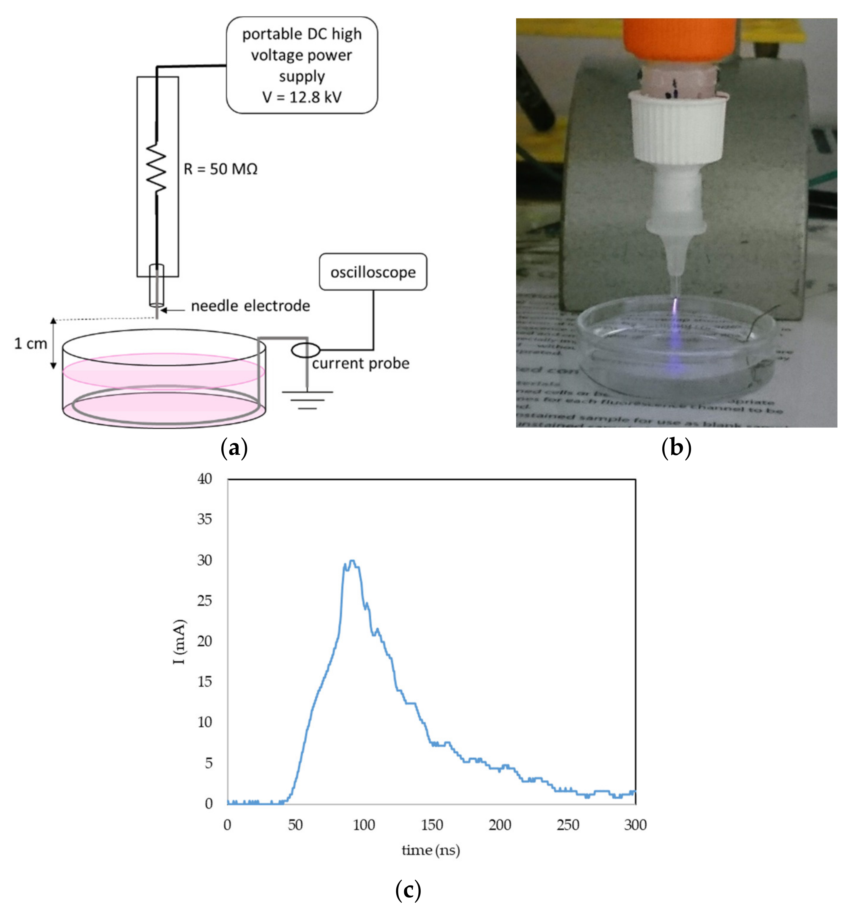 Molecules 26 04254 g016