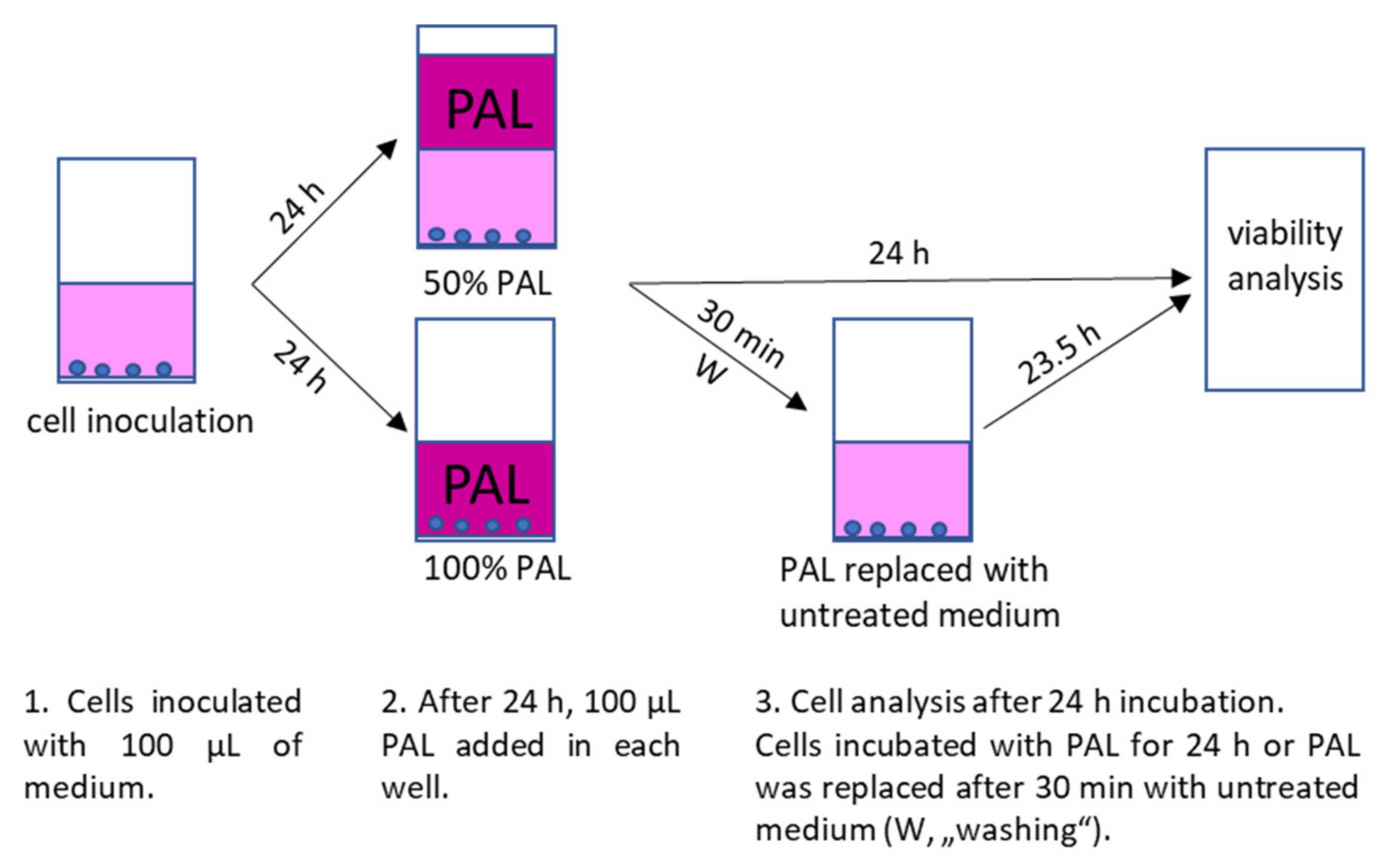 Molecules 26 04254 g017