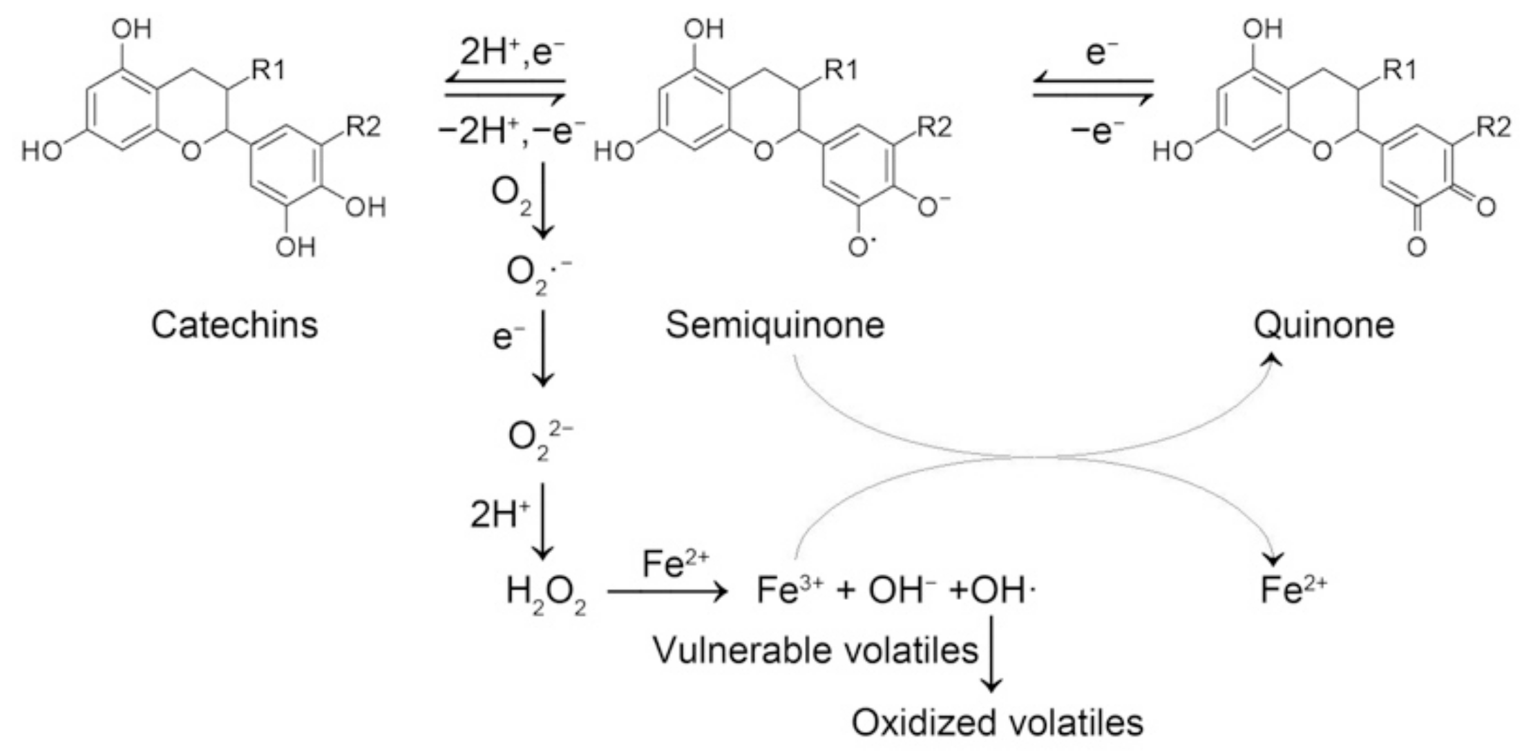 Molecules 26 04255 g006
