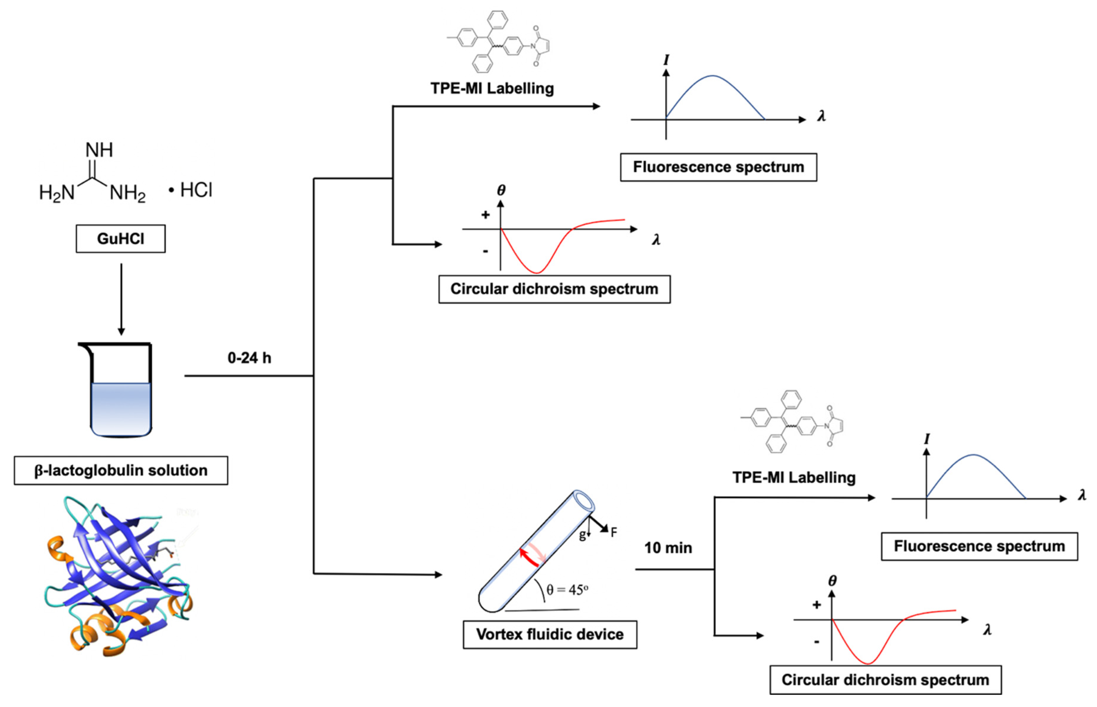 Molecules 26 04273 g001