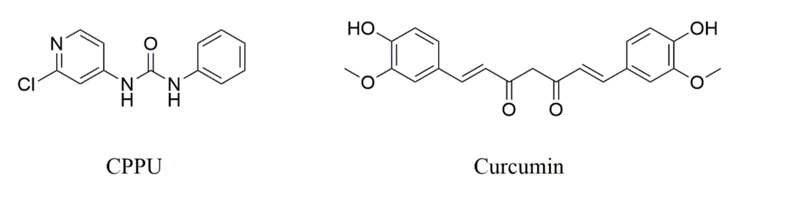 Molecules 26 04276 g004