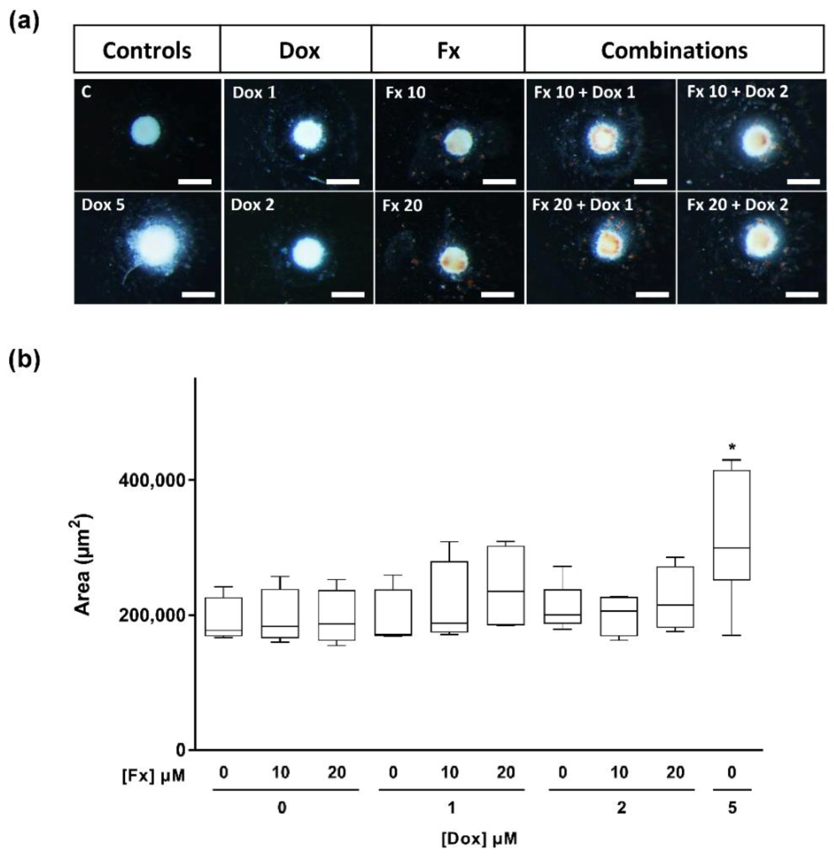Molecules 26 04288 g005